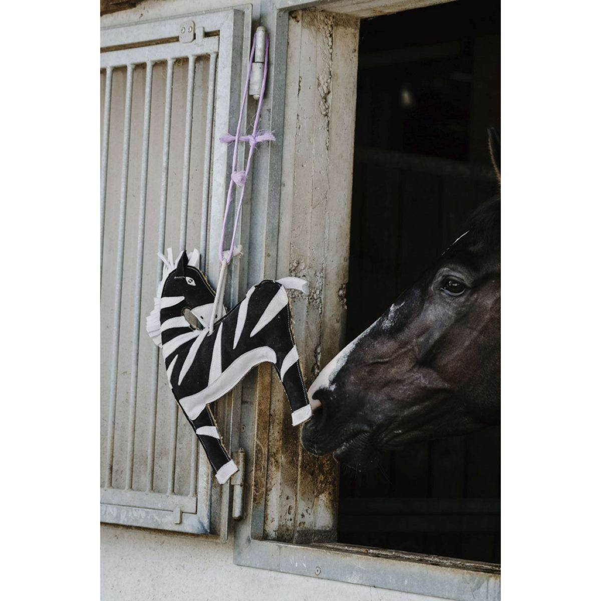 Hippotonic Horse Toy Zebra