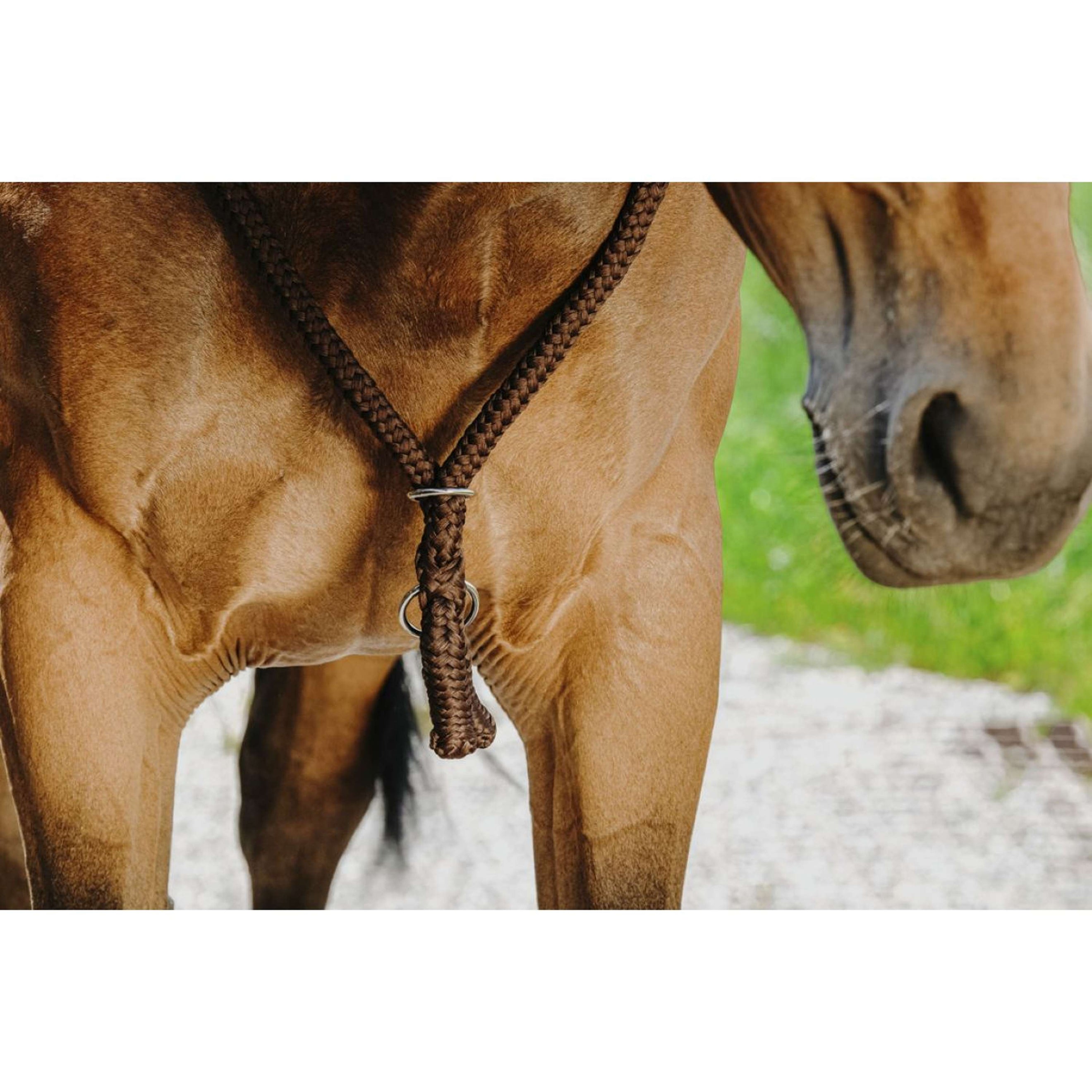 Norton Neckrope Braun Norton Neckrope Braun