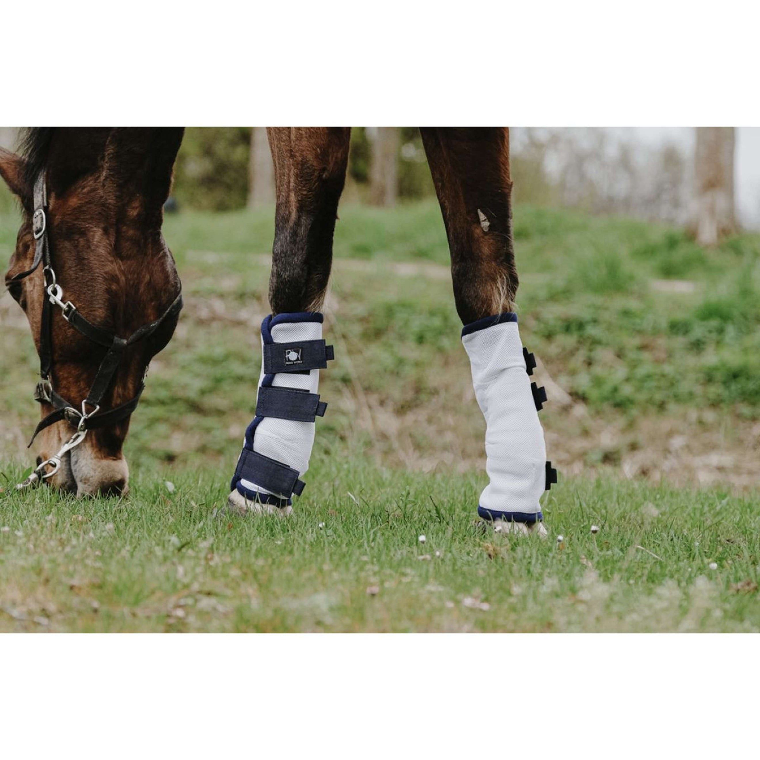 Riding World Fliegenschutz Weiß Riding World Fliegenschutz Weiß