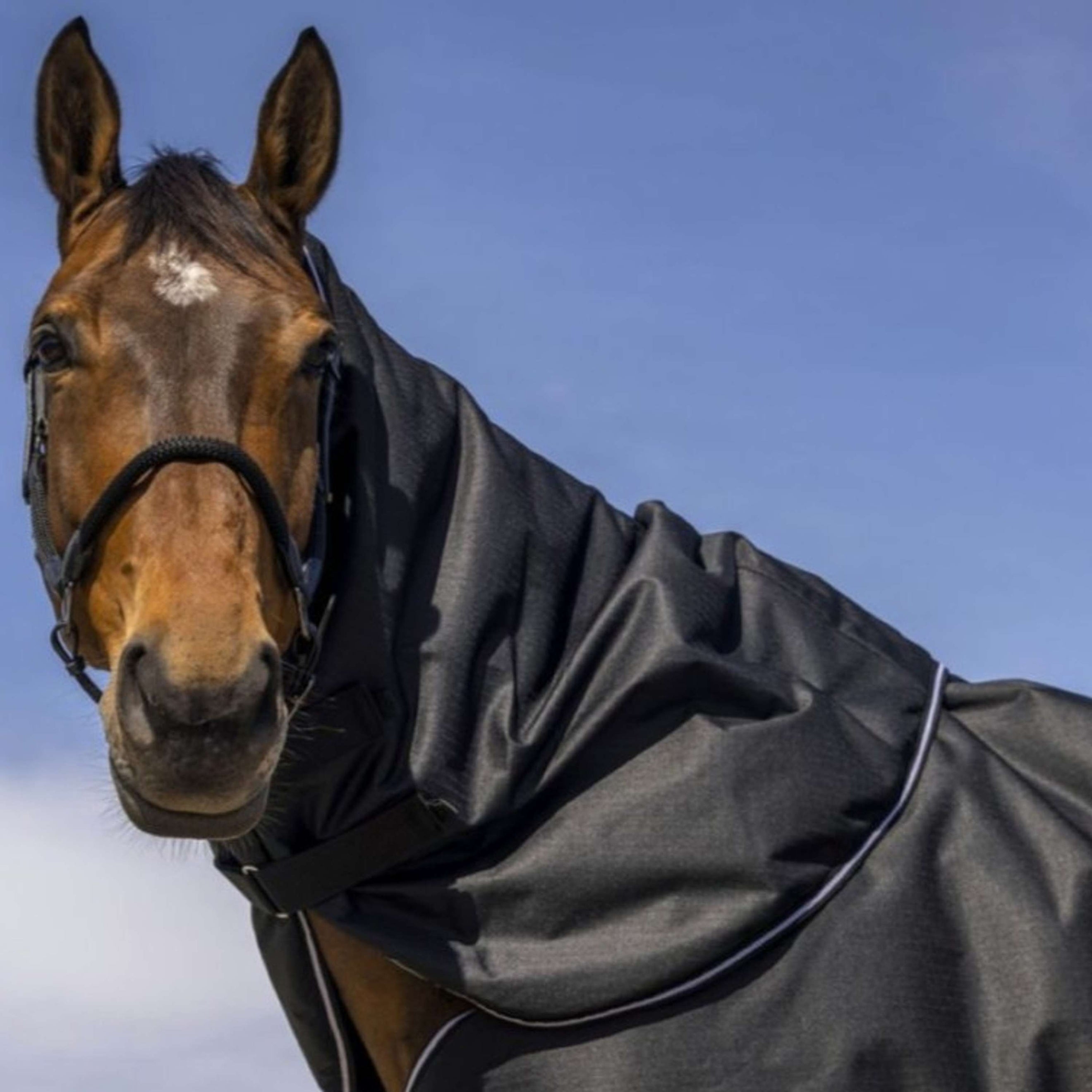 EQUITHÈME Halsstück Tyrex 600D 0g Schwarz