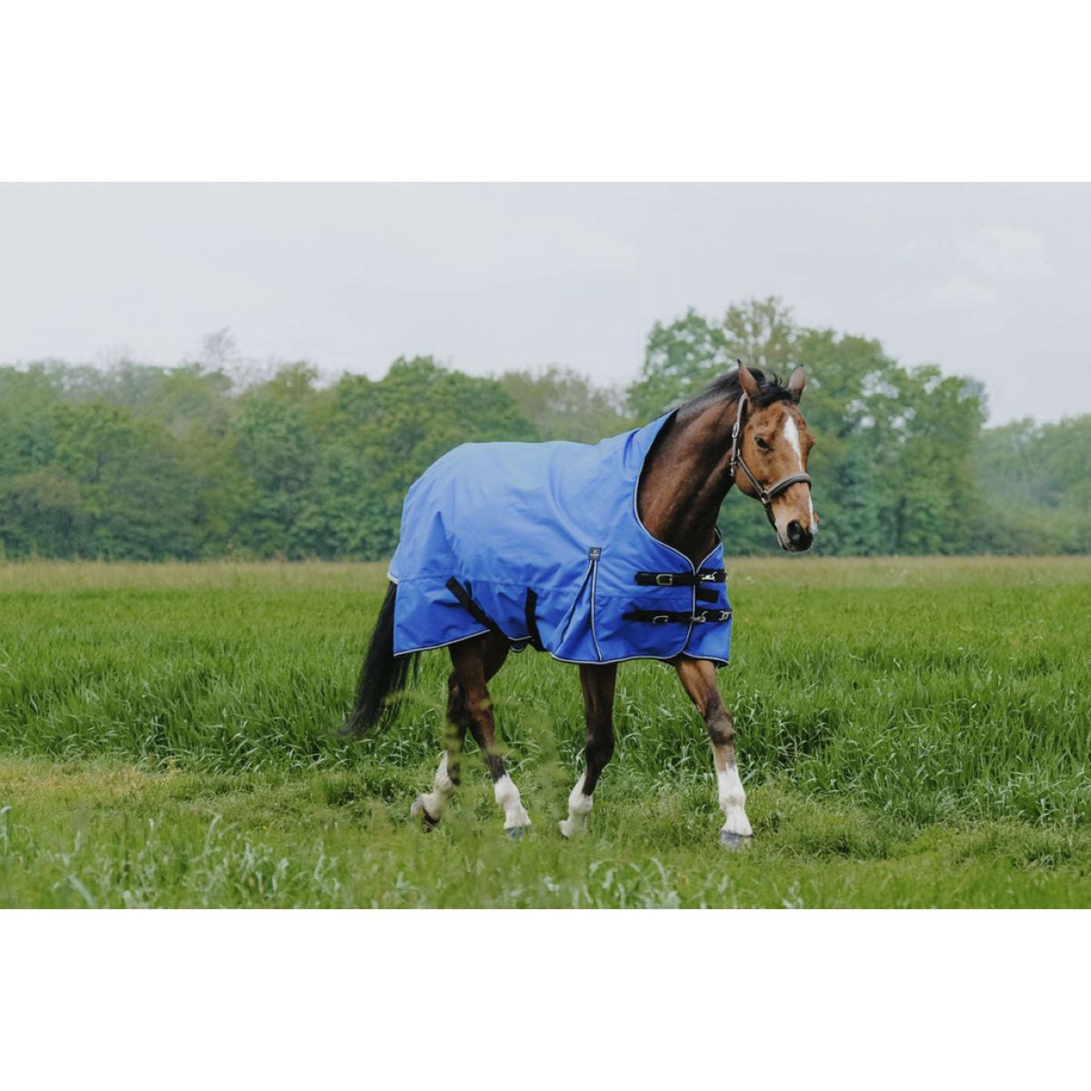 EQUITHÈME Outdoordecke Tyrex 1200D 50g Aisance High Neck Royal Blue