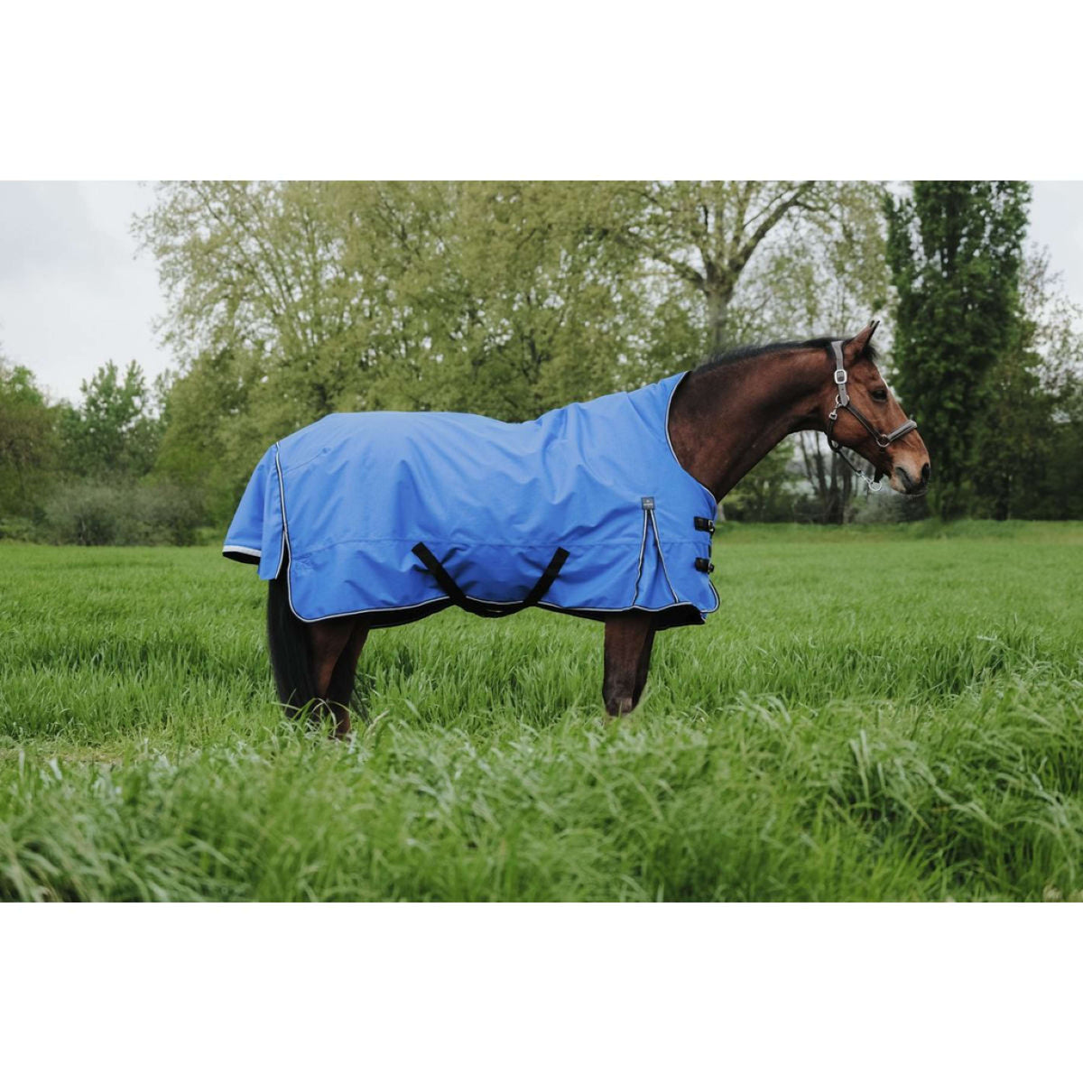 EQUITHÈME Outdoordecke Tyrex 1200D 150g Aisance High Neck Royal Blue