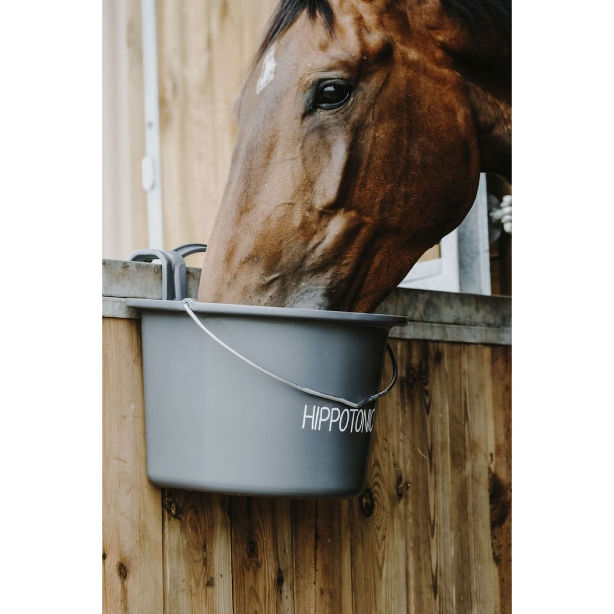 Hippotonic Futtertrog mit Henkel Dunkelgrau