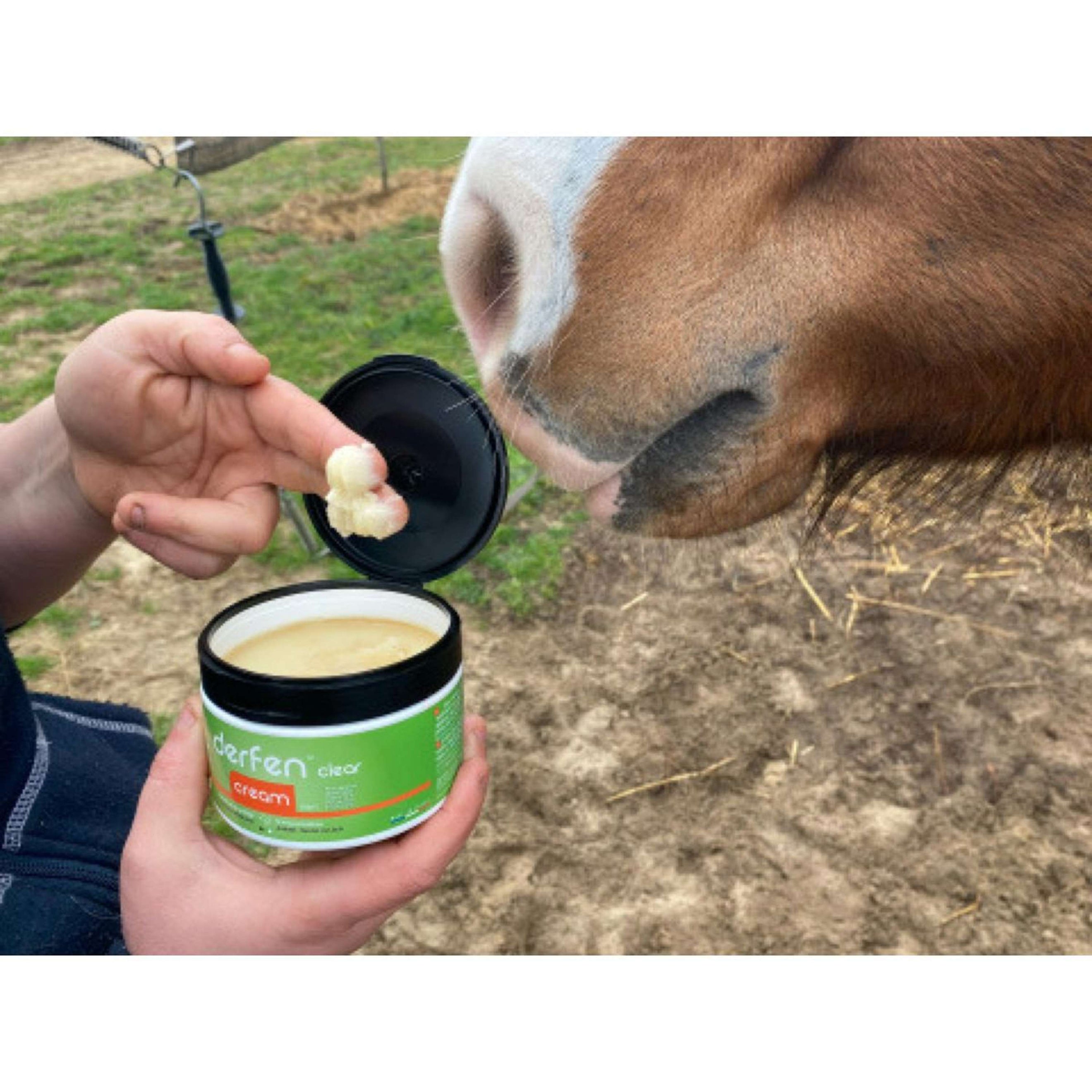 Animaderm Derfen Clear Cream Animaderm Derfen Clear Cream