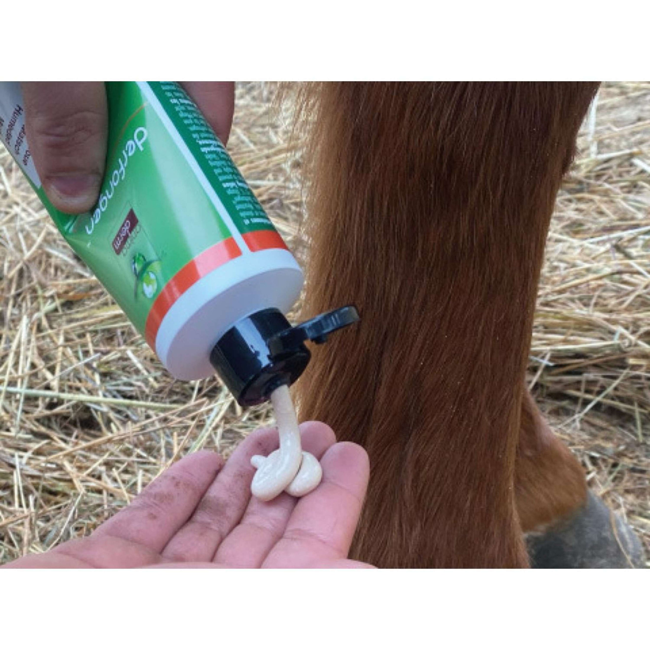 Animaderm Lotion Derfongen Animaderm Lotion Derfongen