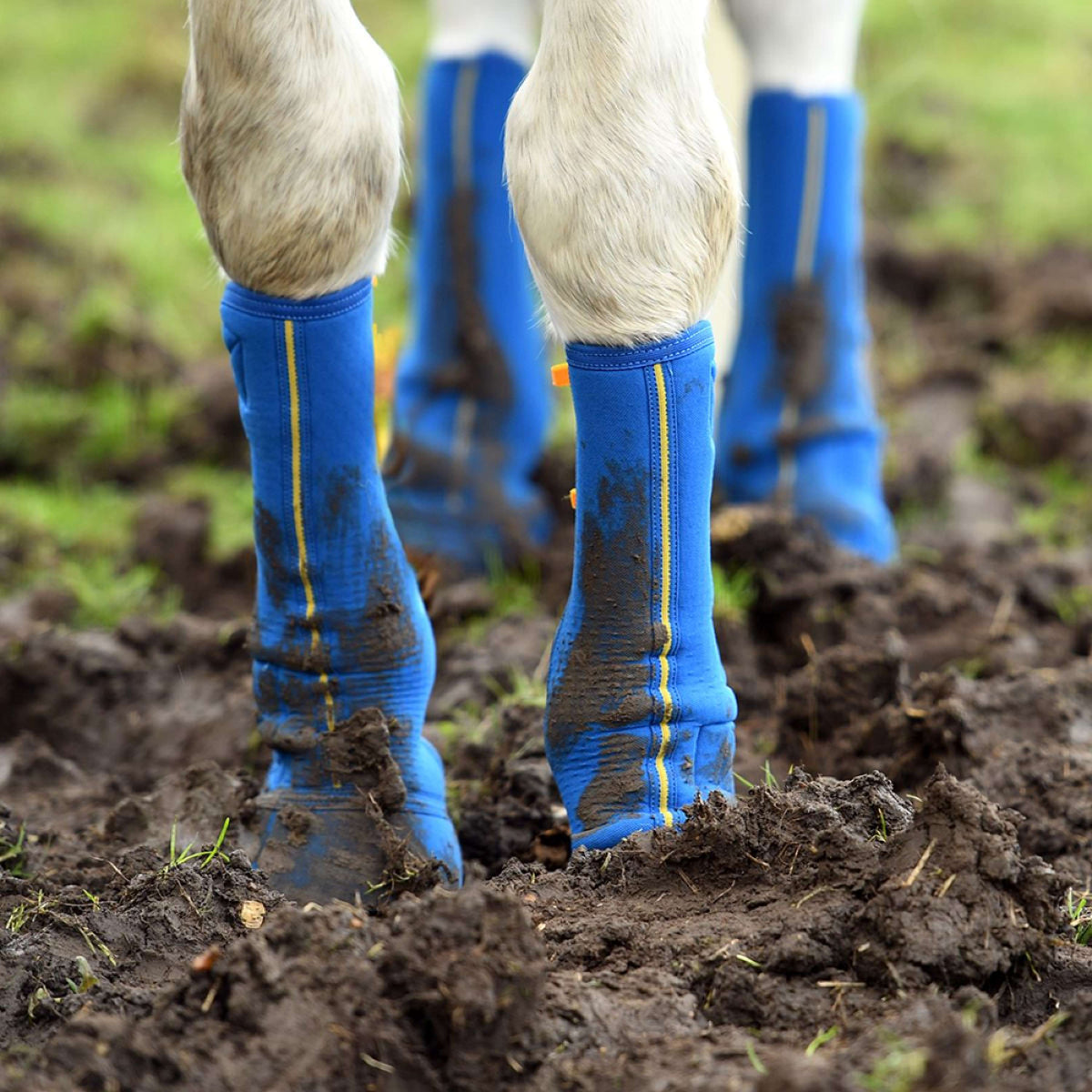 Equilibrium Gamaschen Equi-Chaps Close Contact Navy