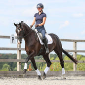 Equilibrium Gamaschen Stretch & Flex Flatwork Weiß