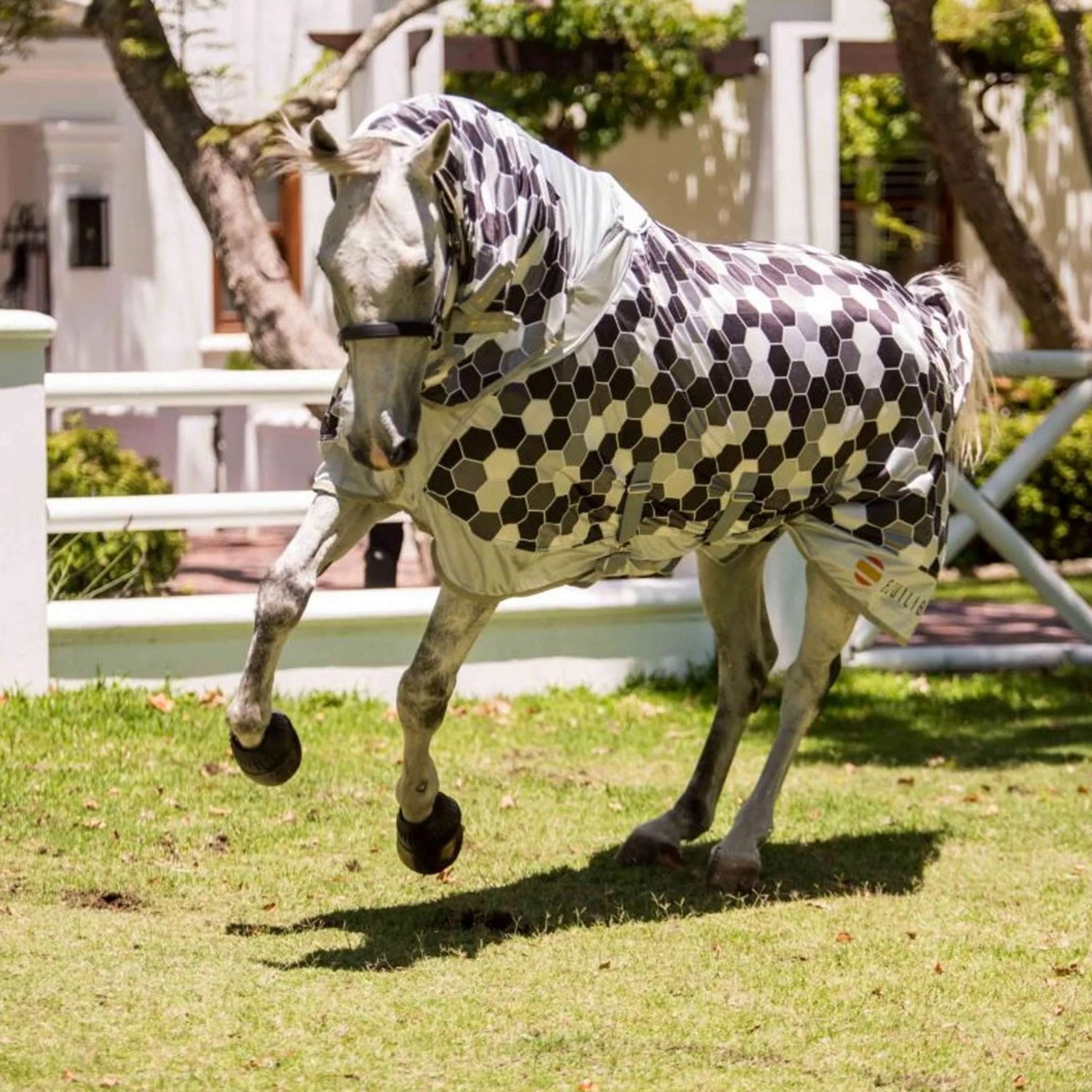 Equilibrium Fliegendecke Field Relief Grau Equilibrium Fliegendecke Field Relief Grau