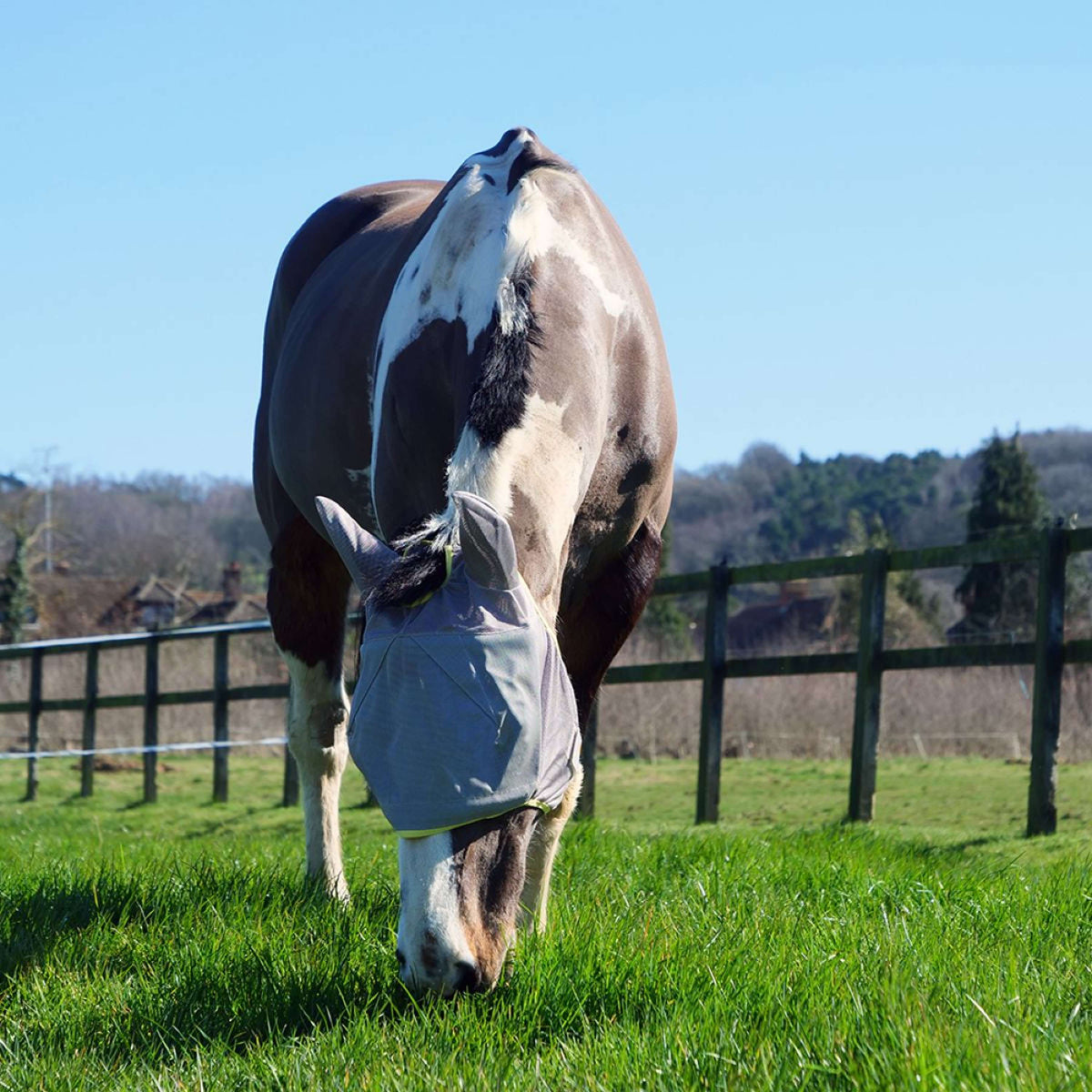 Equilibrium Fliegenmaske Field Relief Midi mit Ohren Grau/Gelb