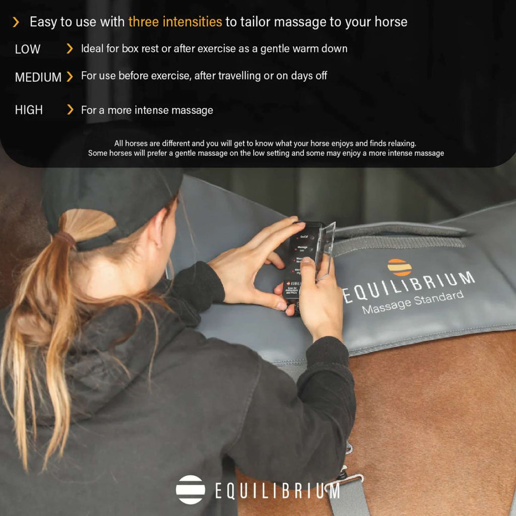 Equilibrium Massage Pad Grau