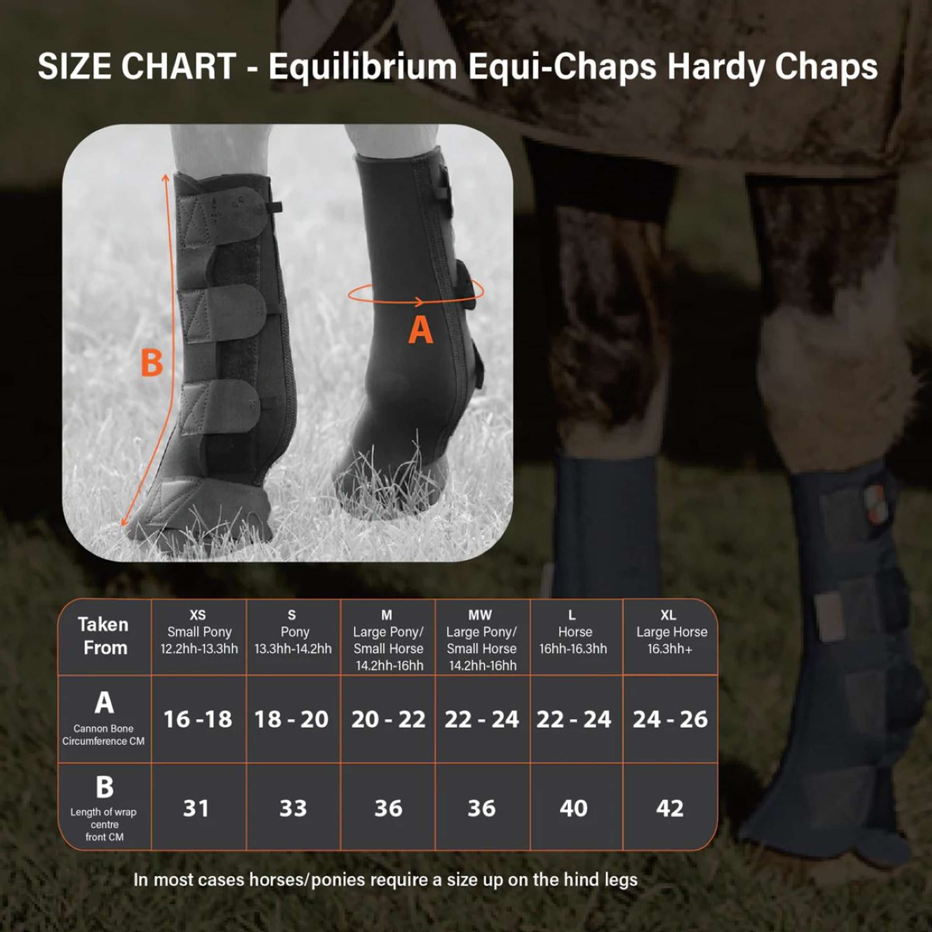 Equilibrium Gamaschen Equi-Chaps Hardy Navy