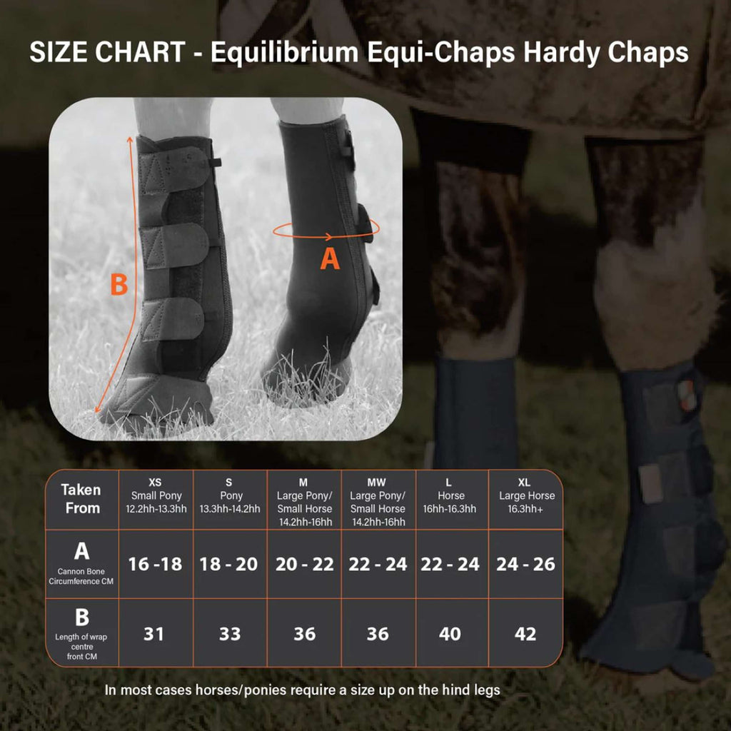 Equilibrium Gamaschen Equi-Chaps Hardy Navy
