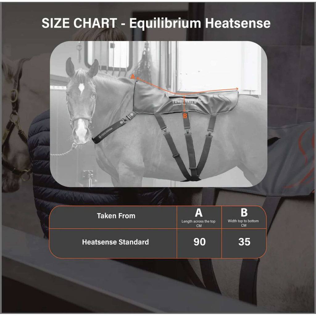 Equilibrium Massage Pad Heatsense Grau