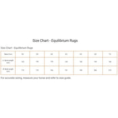 Equilibrium Decke Magnetic Schwarz