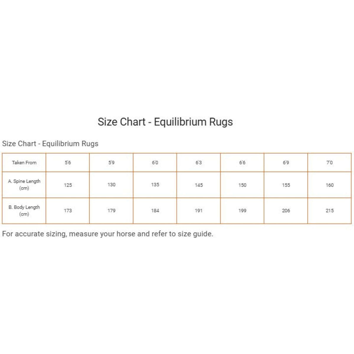 Equilibrium Decke Magnetic Schwarz