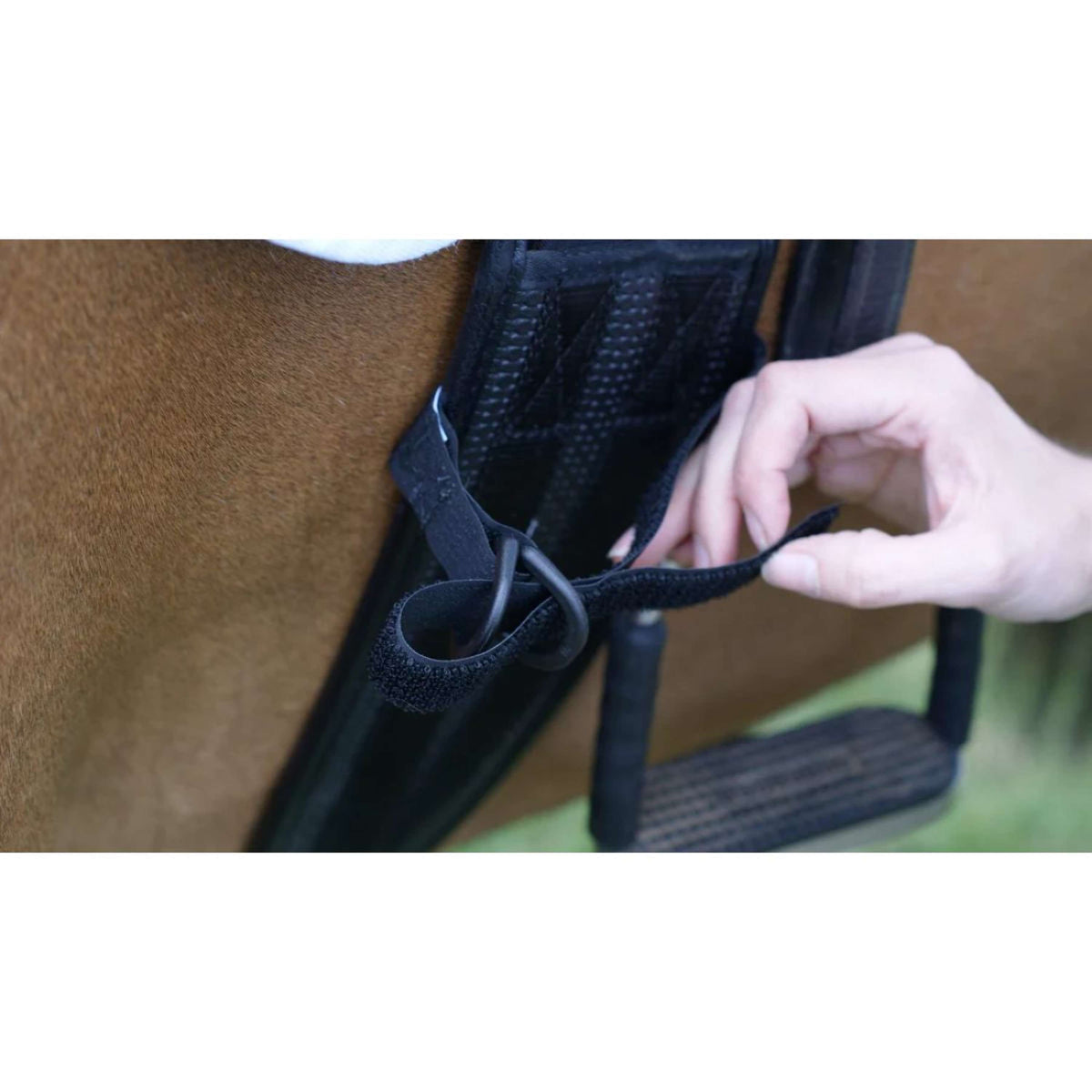 Equilibrium Legstraps Symmetry