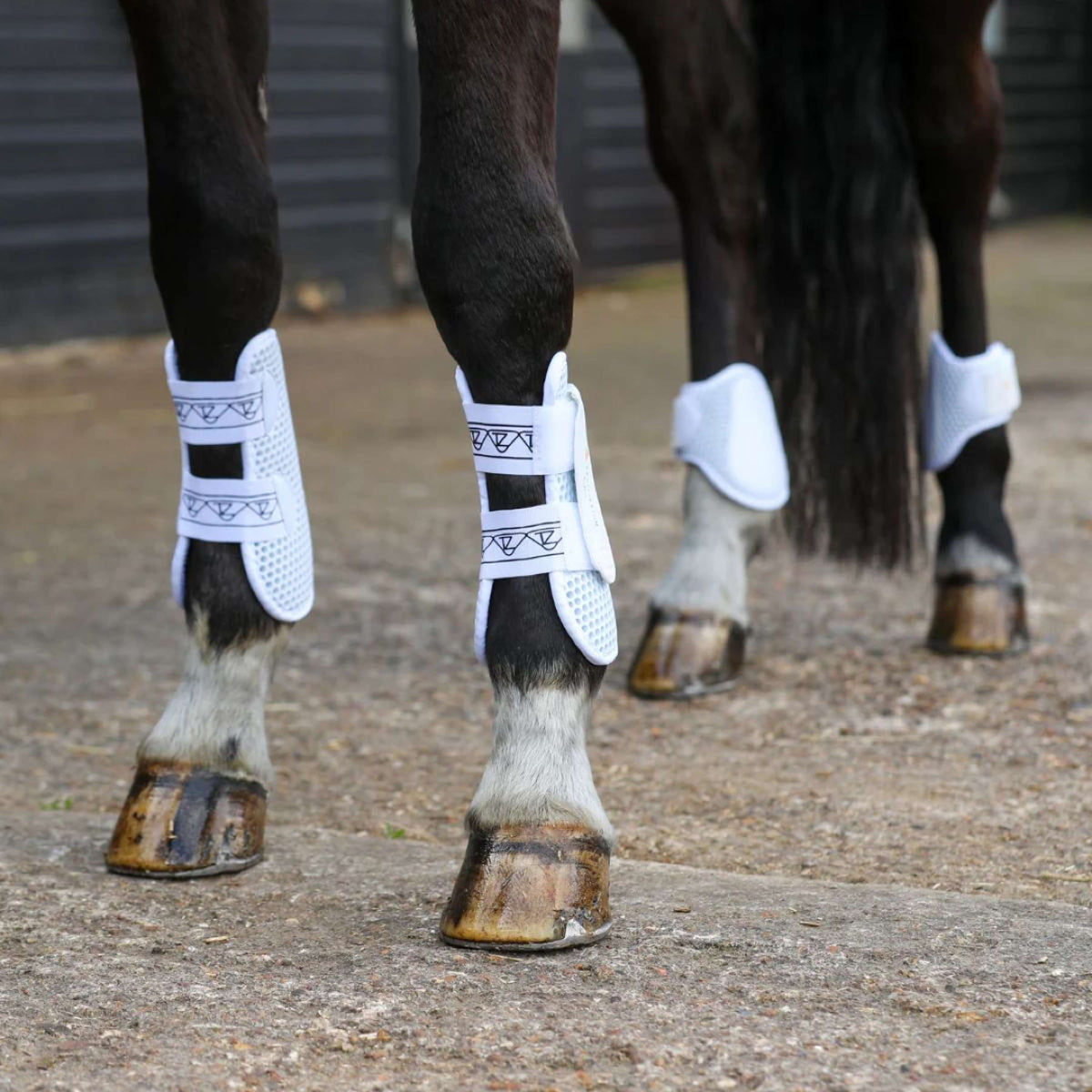 Equilibrium Gamaschen Tri-zone Weiß