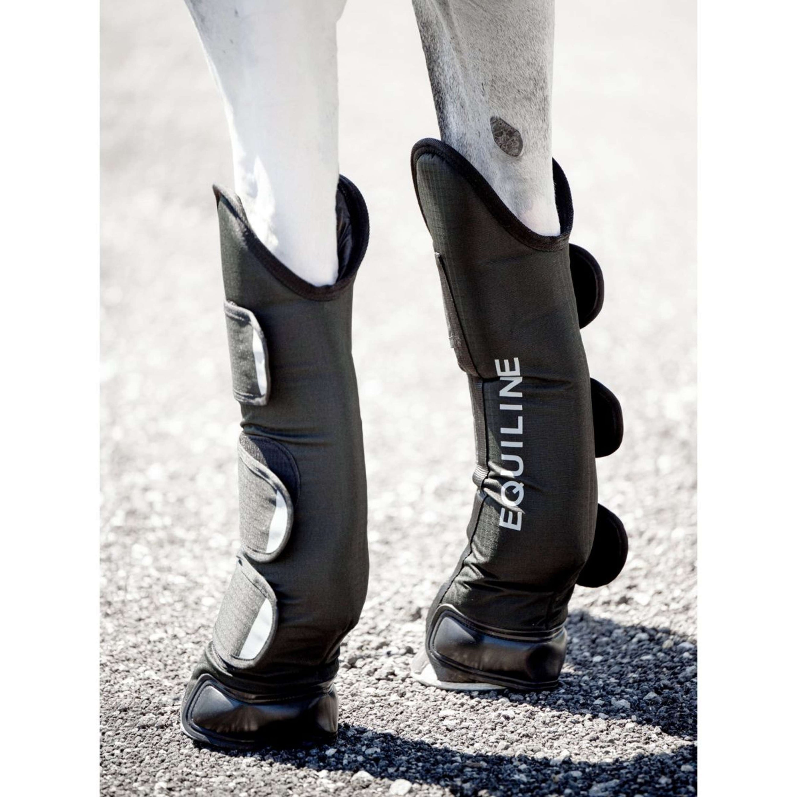 Equiline Transportgamaschen Rex Schwarz