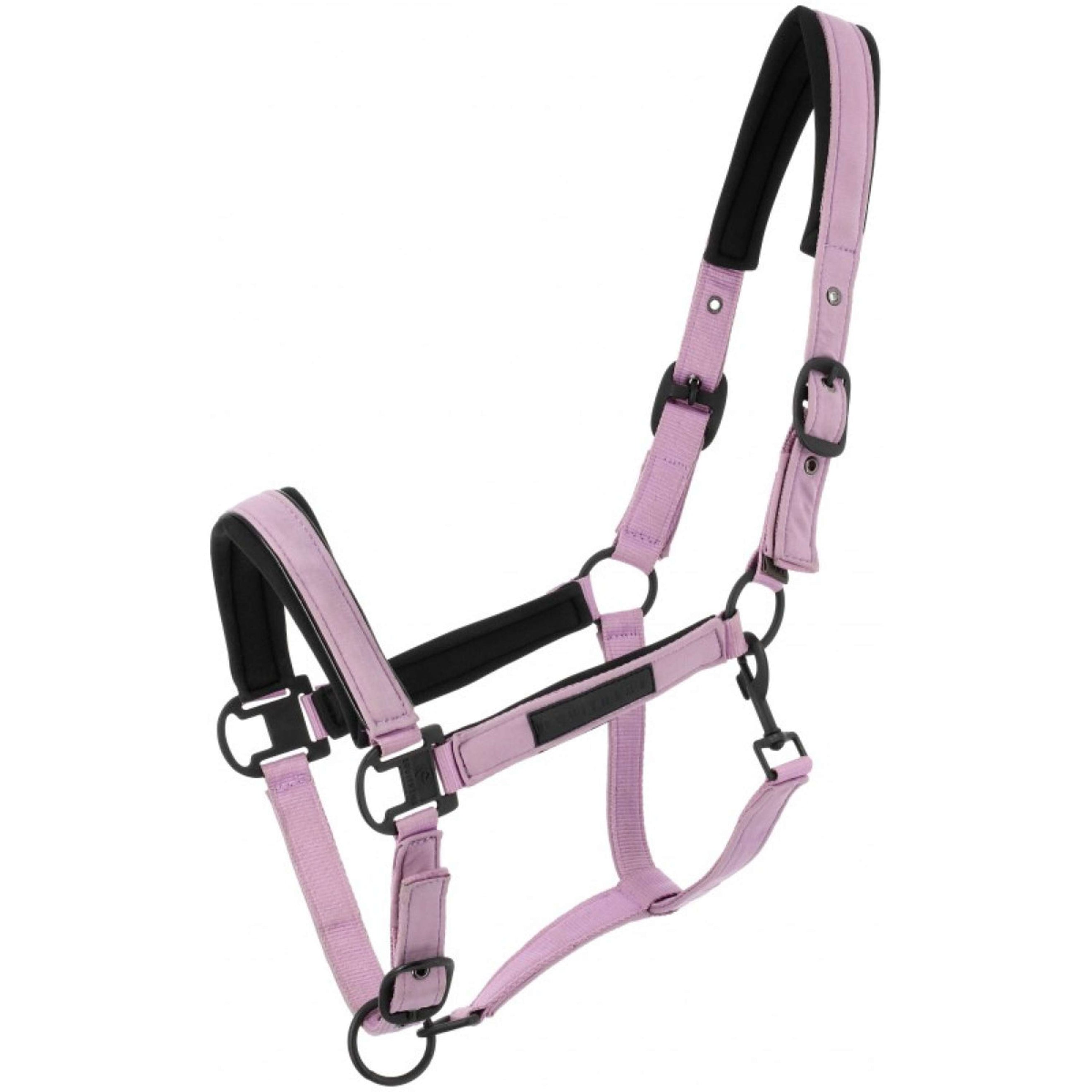 EQUITHÈME Halfter Pearl Lavander EQUITHÈME Halfter Pearl Lavander