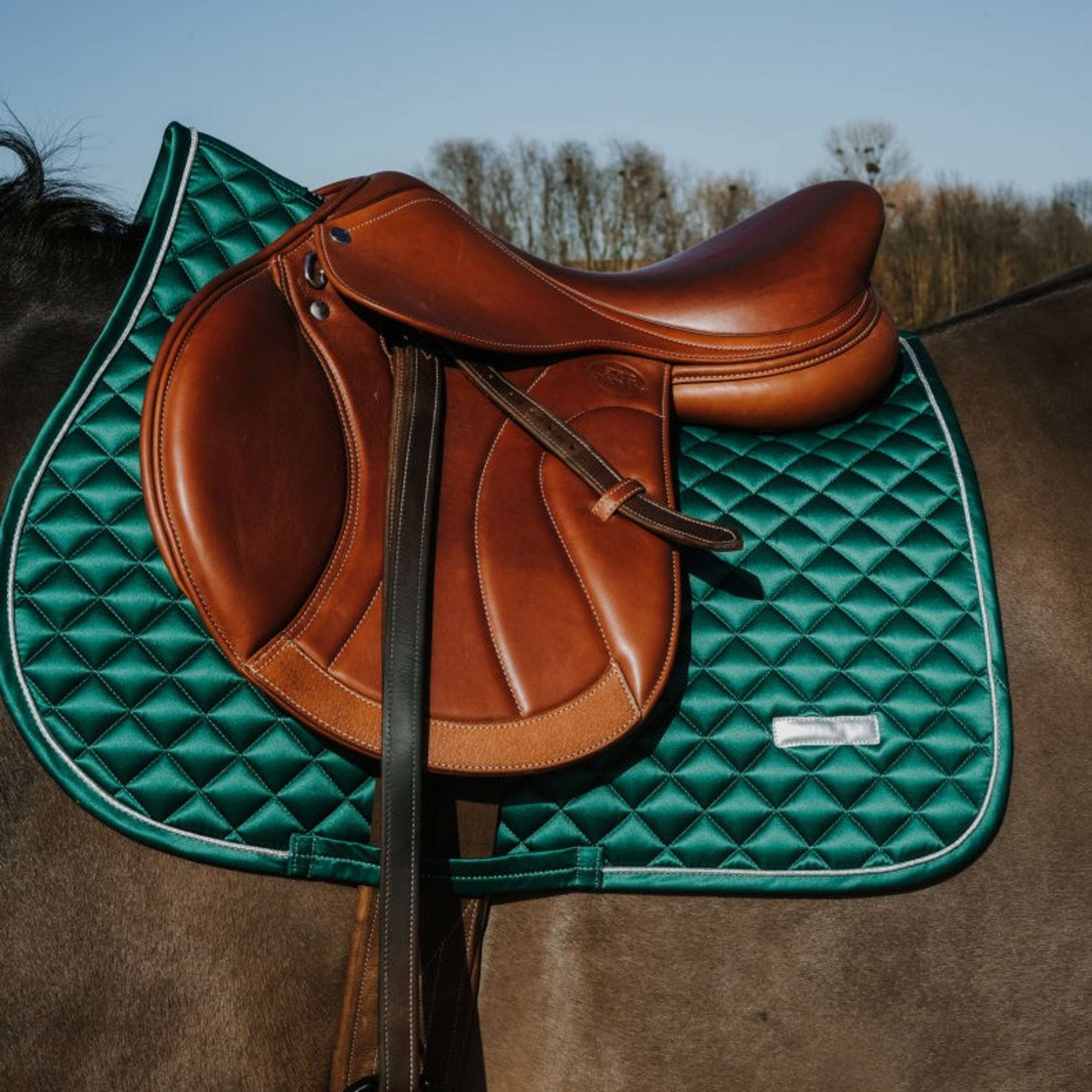 EQUITHÈME Schabracke Nacre Springen Dunkelgrün EQUITHÈME Schabracke Nacre Springen Dunkelgrün