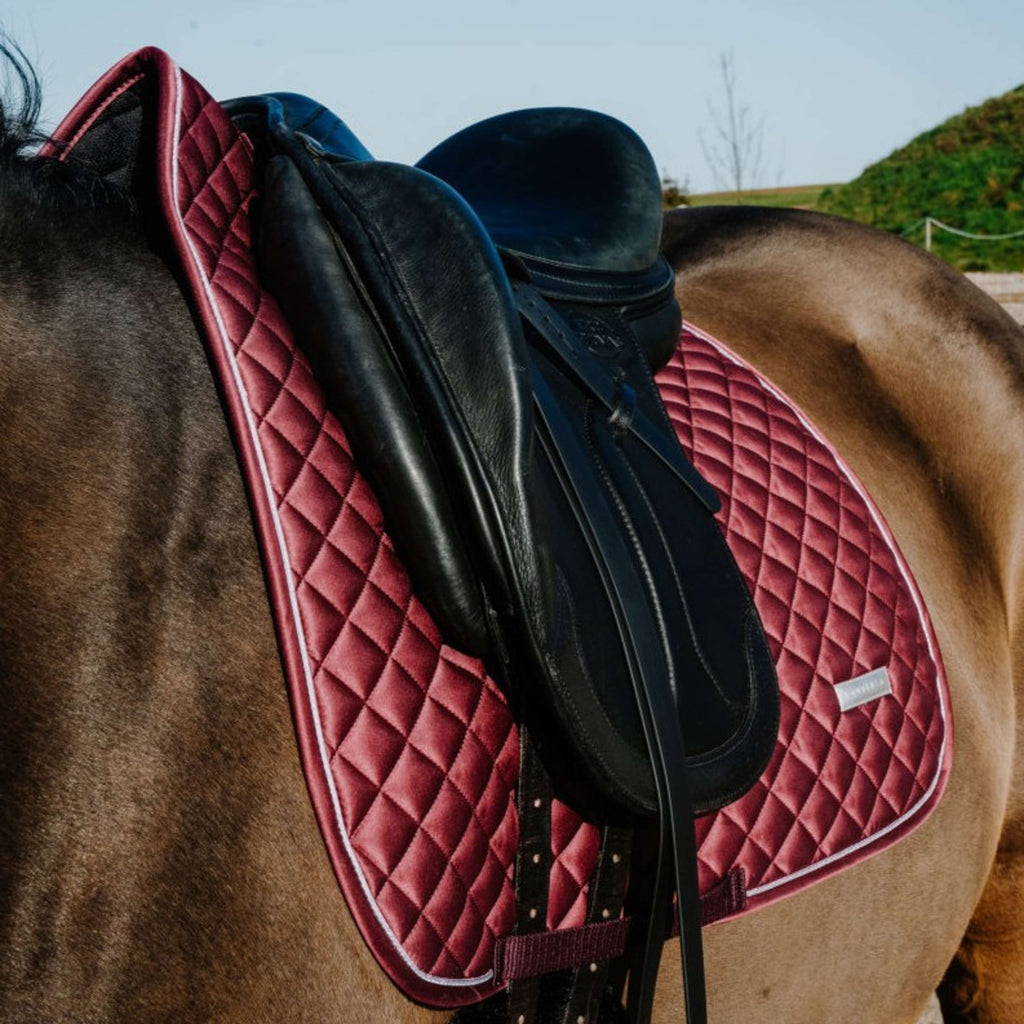 EQUITHÈME Schabracke Nacre Dressur Bordeaux