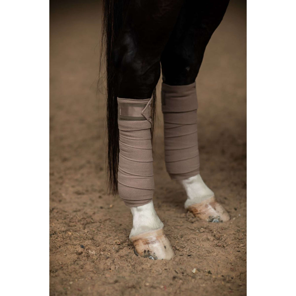 Equestrian Stockholm Bandagen Champagne