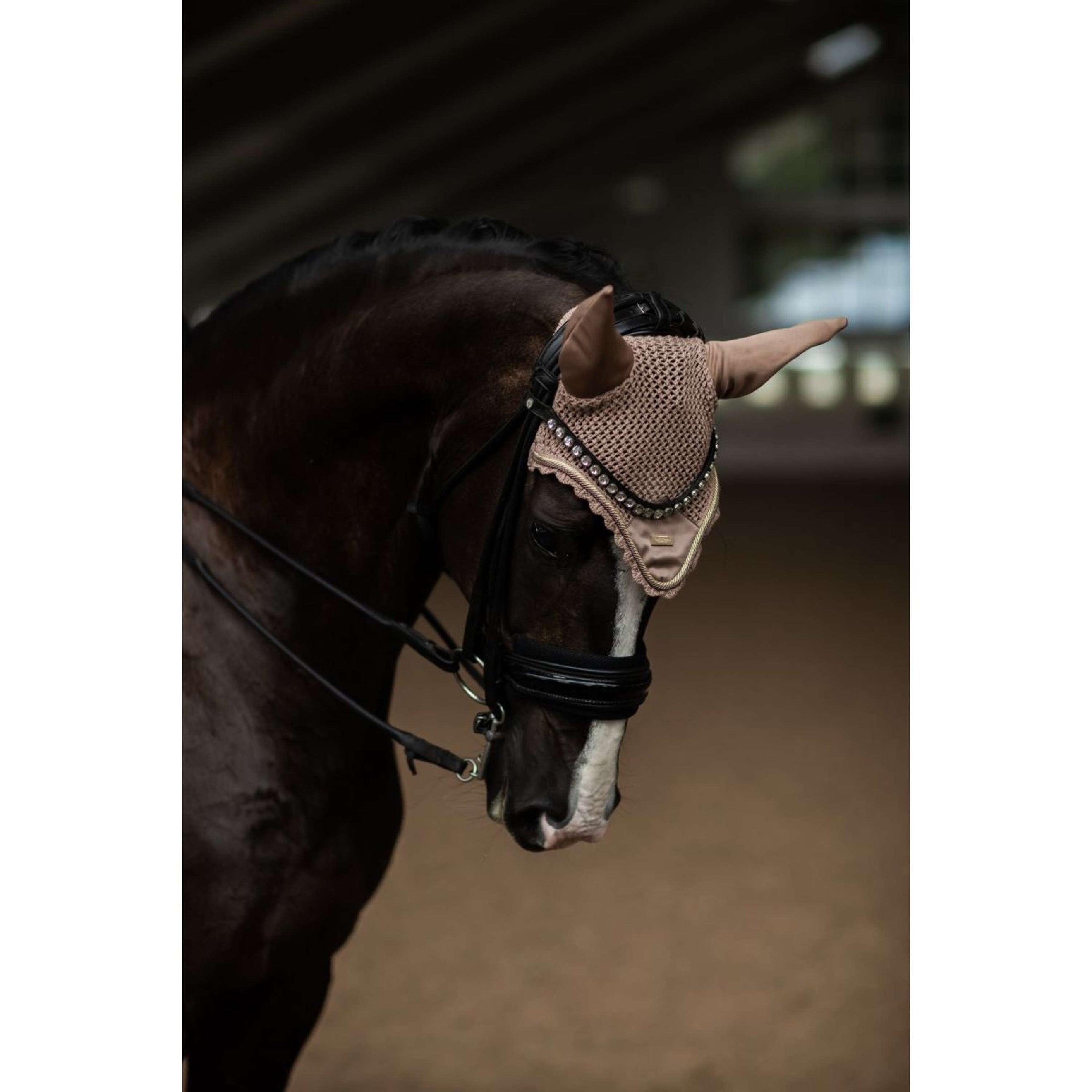 Equestrian Stockholm Fliegenhaube Champagne Equestrian Stockholm Fliegenhaube Champagne