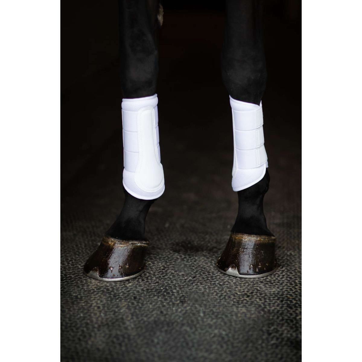 Equestrian Stockholm Gamaschen Classic Mesh White Silver