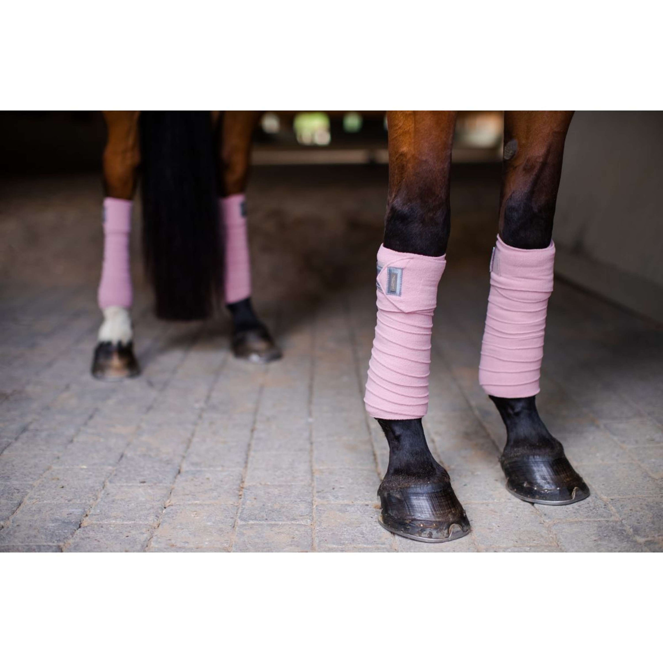 Equestrian Stockholm Bandagen Rosa Equestrian Stockholm Bandagen Rosa