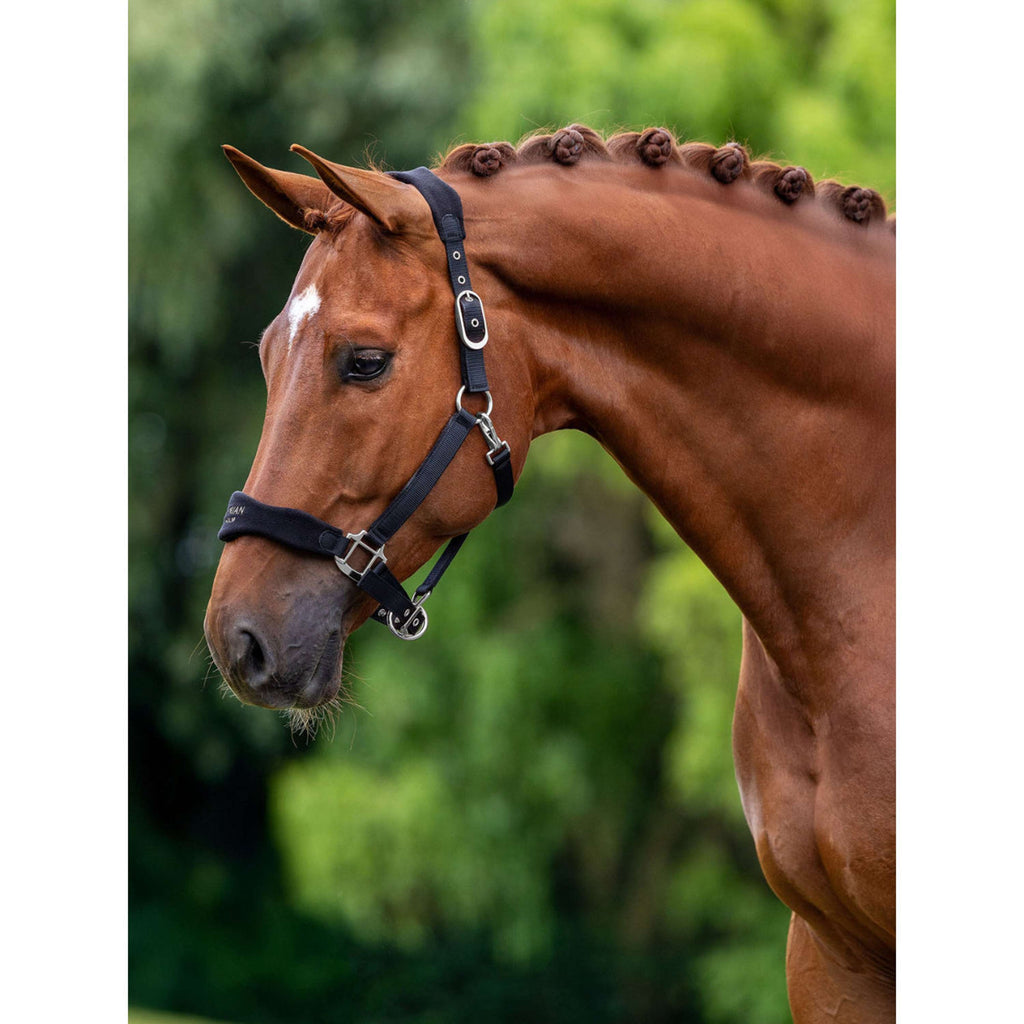 Equestrian Stockholm Halfter Anatomic Fleece Schwarz