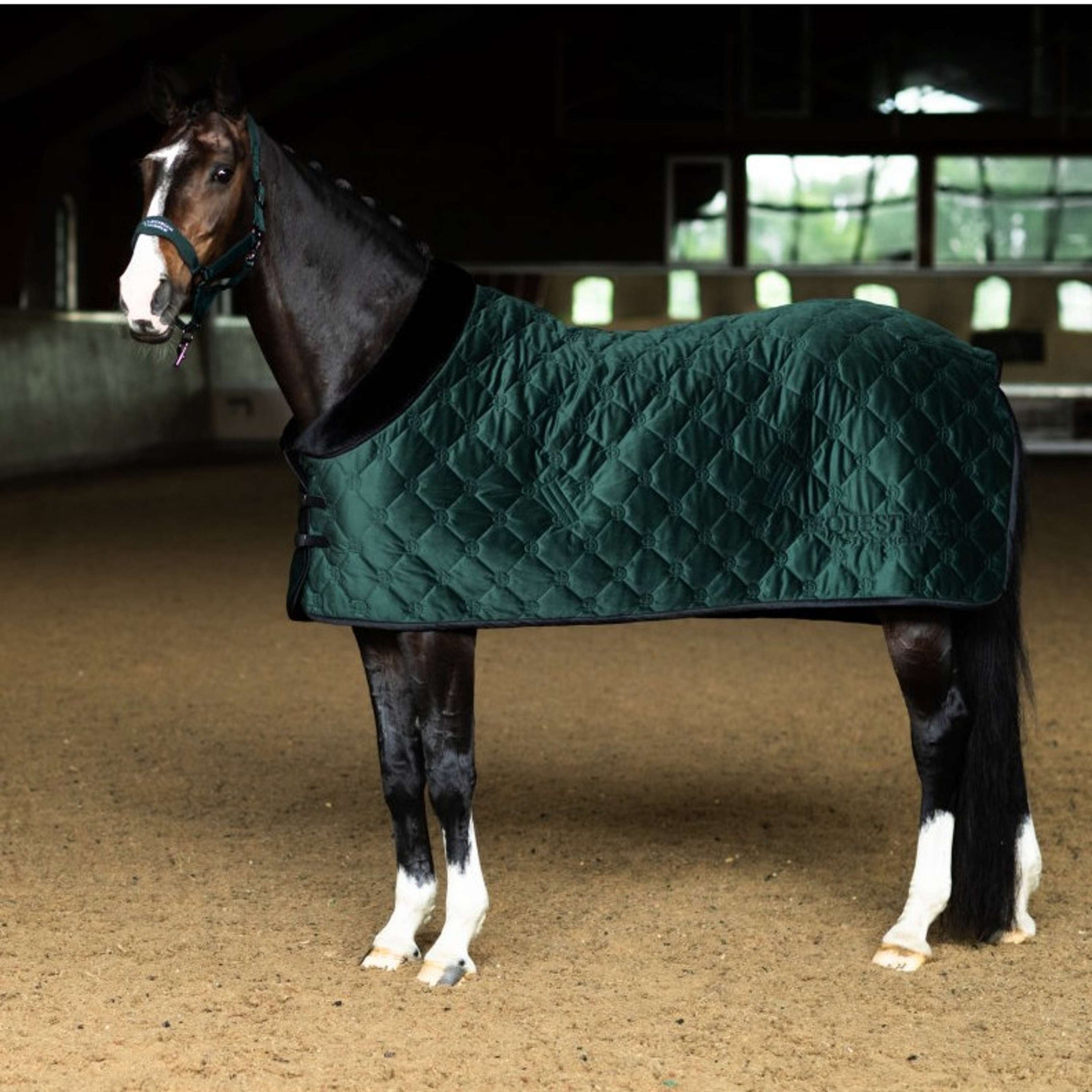 Equestrian Stockholm Fleecedecke Velvet Sycamore Green