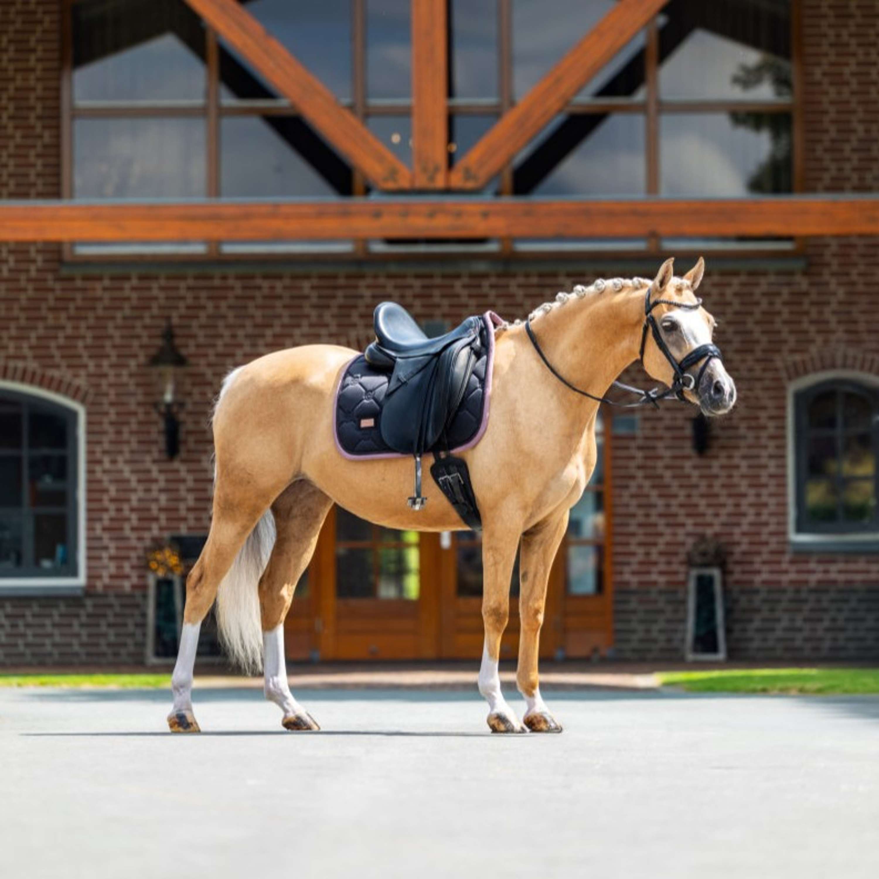 Equestrian Stockholm Schabracke Dressur Schwarz/Blush