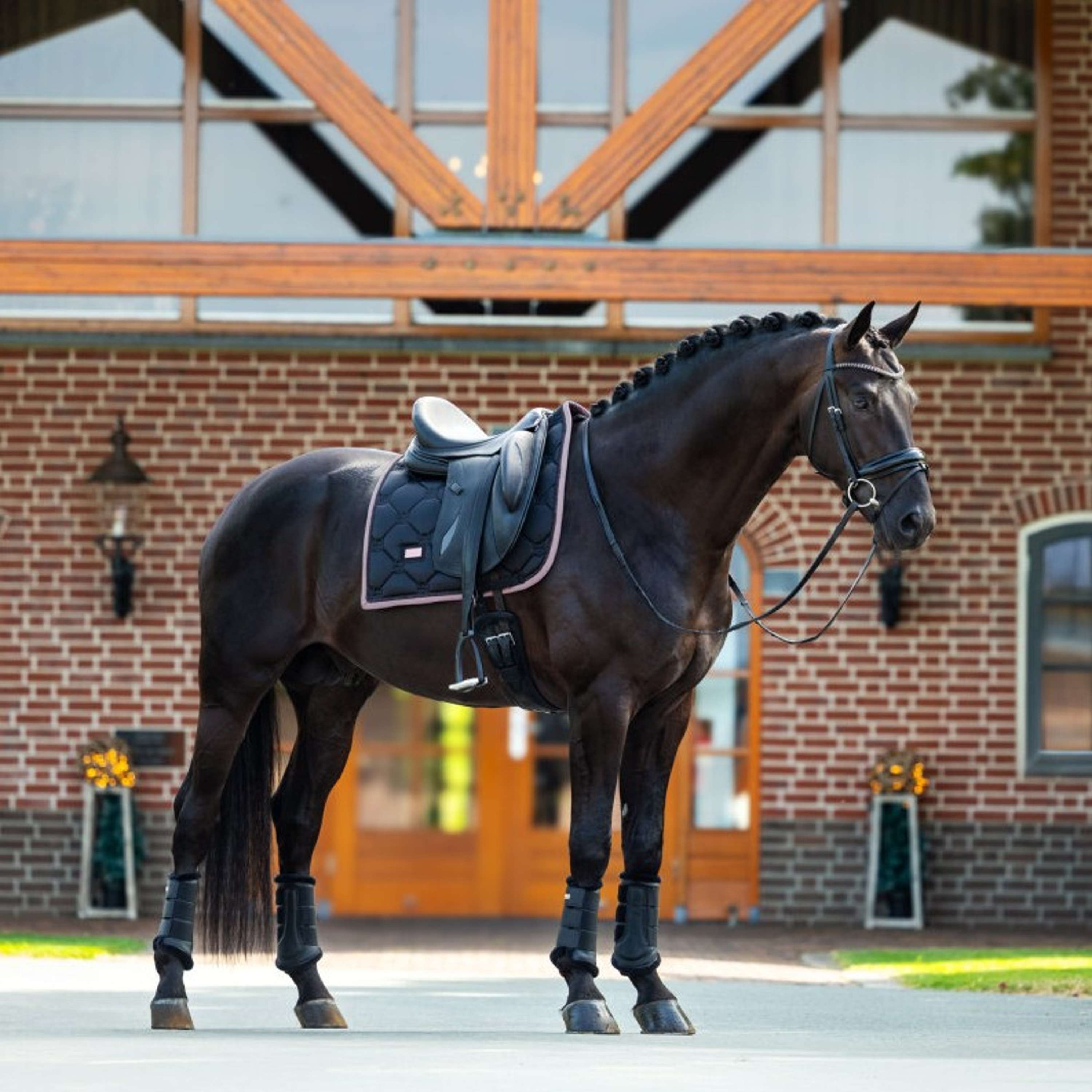 Equestrian Stockholm Schabracke Dressur Schwarz/Blush