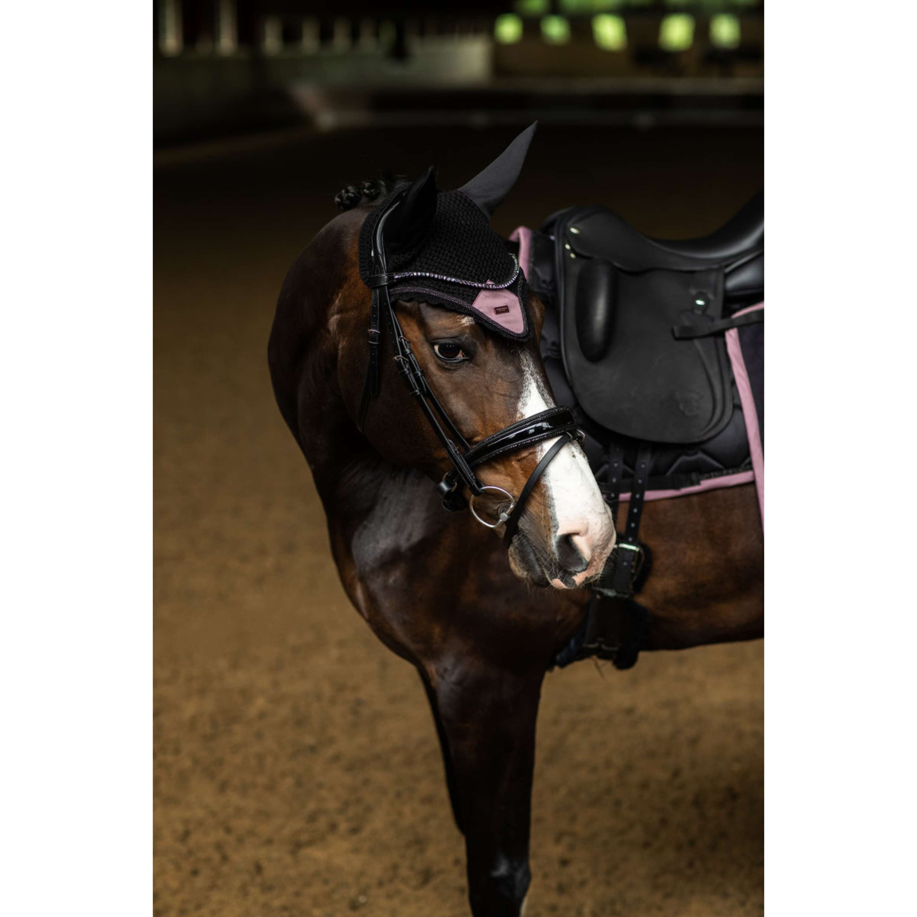 Equestrian Stockholm Fliegenhaube Schwarz/Blush