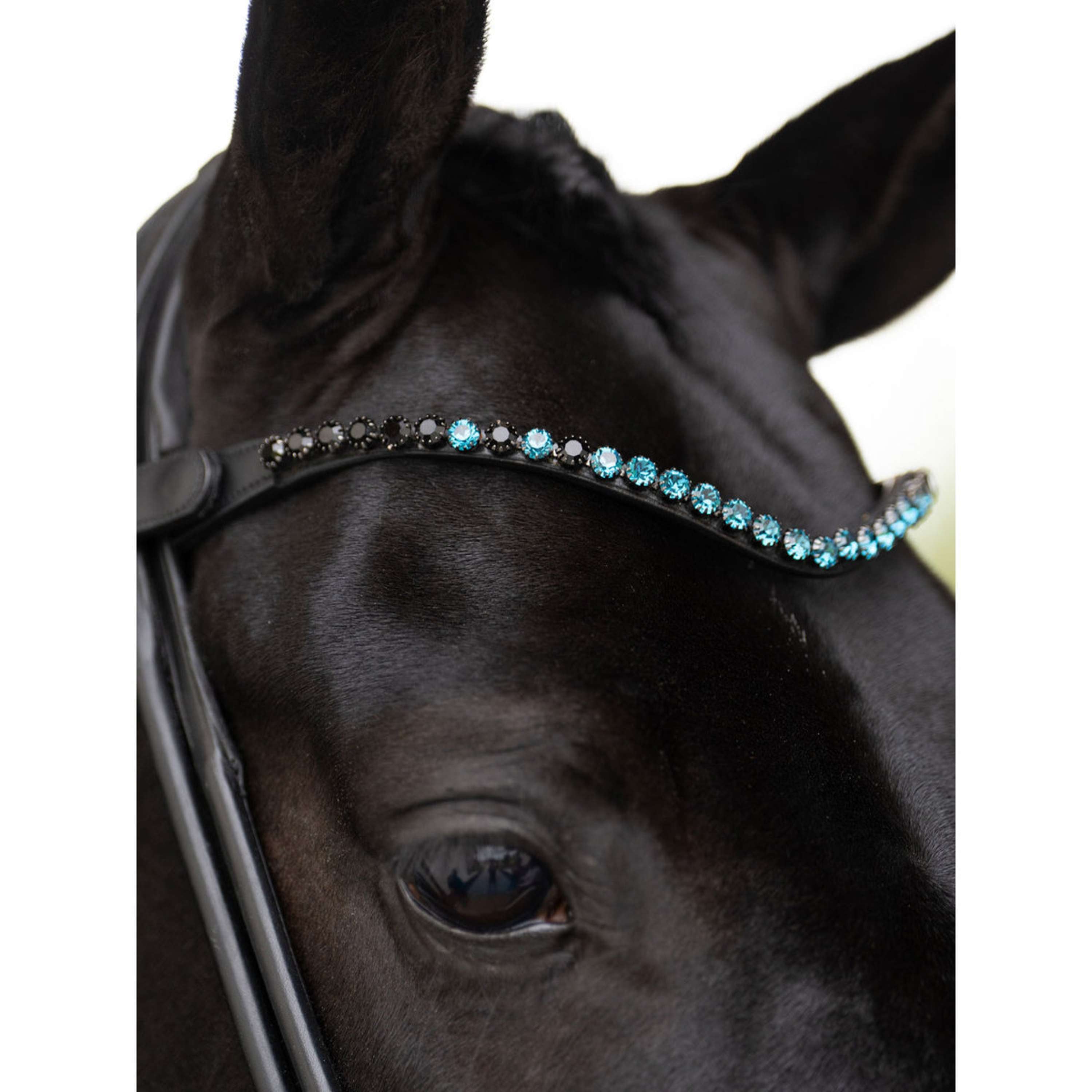 Equestrian Stockholm Stirnriemen Faded 8mm Blue Meadow