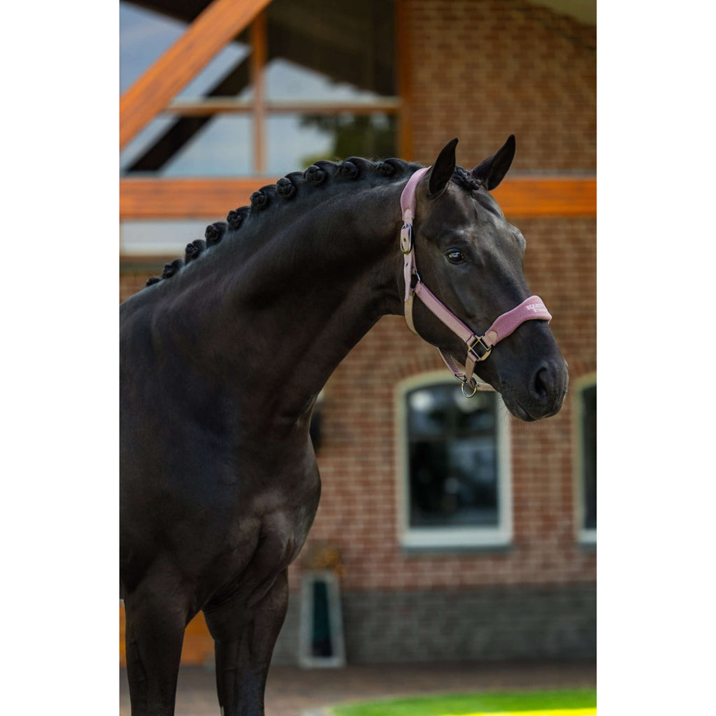 Equestrian Stockholm Halfter Anatomic Fleece Blush