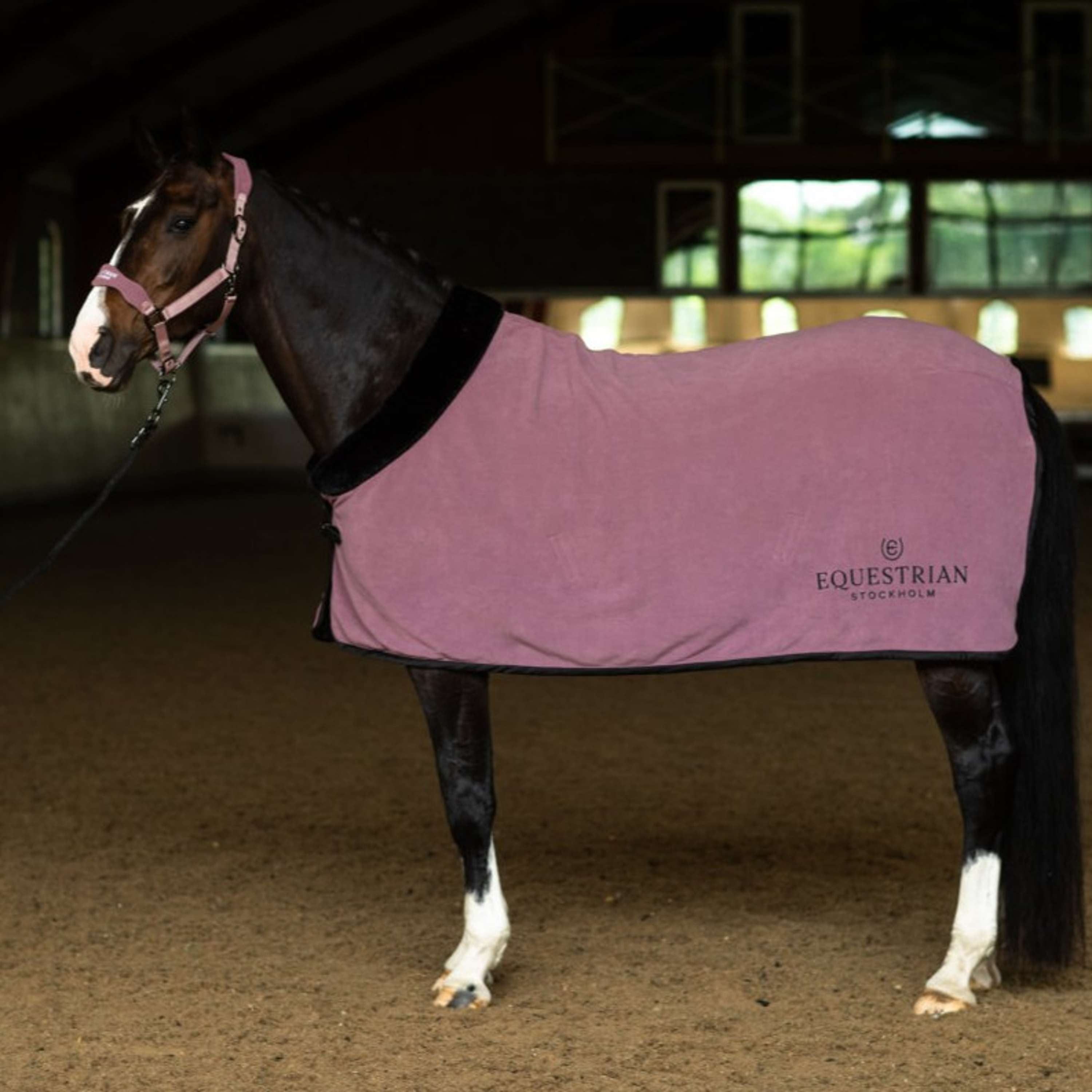 Equestrian Stockholm Halfter Anatomic Fleece Blush