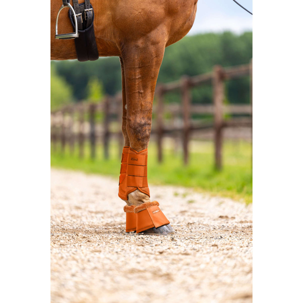Equestrian Stockholm Hufglocken Chestnut