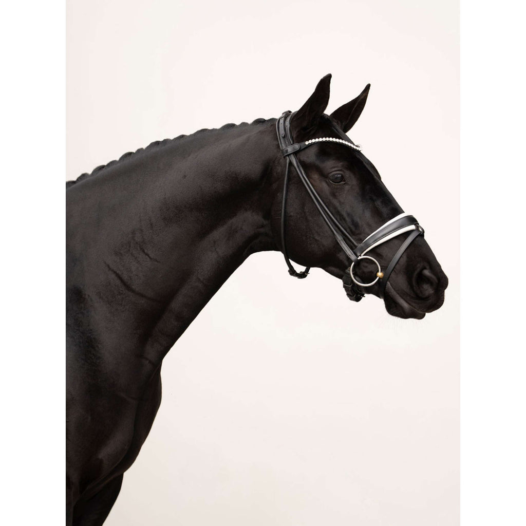Equestrian Stockholm Stirnriemen Faded 8mm Crystal
