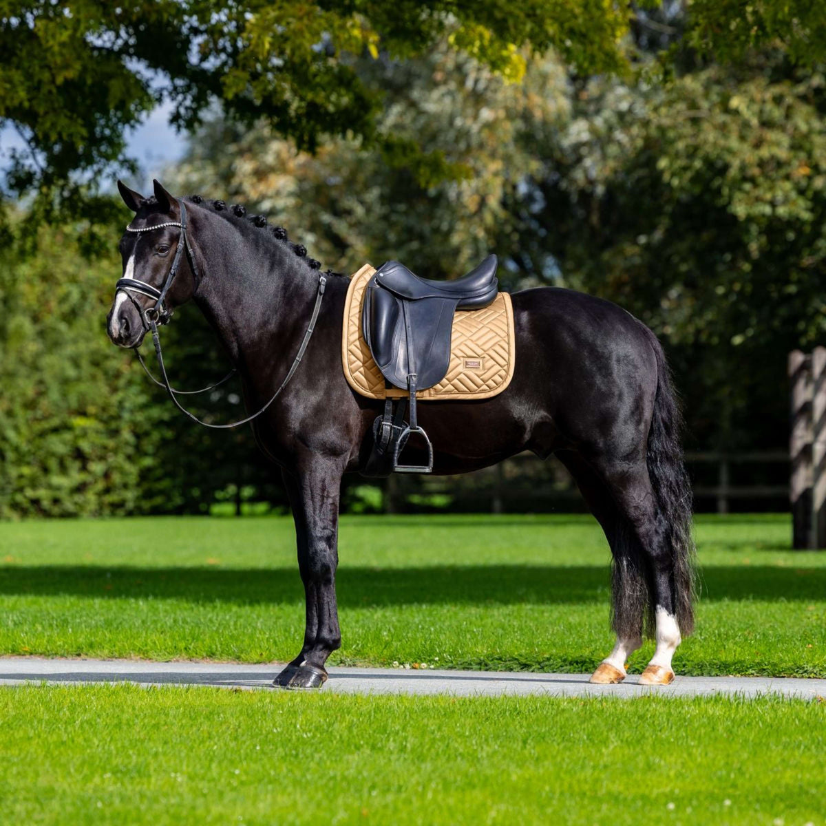 Equestrian Stockholm Schabracke Modern Dressur Midsummer Glow