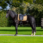 Equestrian Stockholm Schabracke Modern Dressur Midsummer Glow