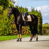 Equestrian Stockholm Schabracke Modern Dressur Midsummer Glow