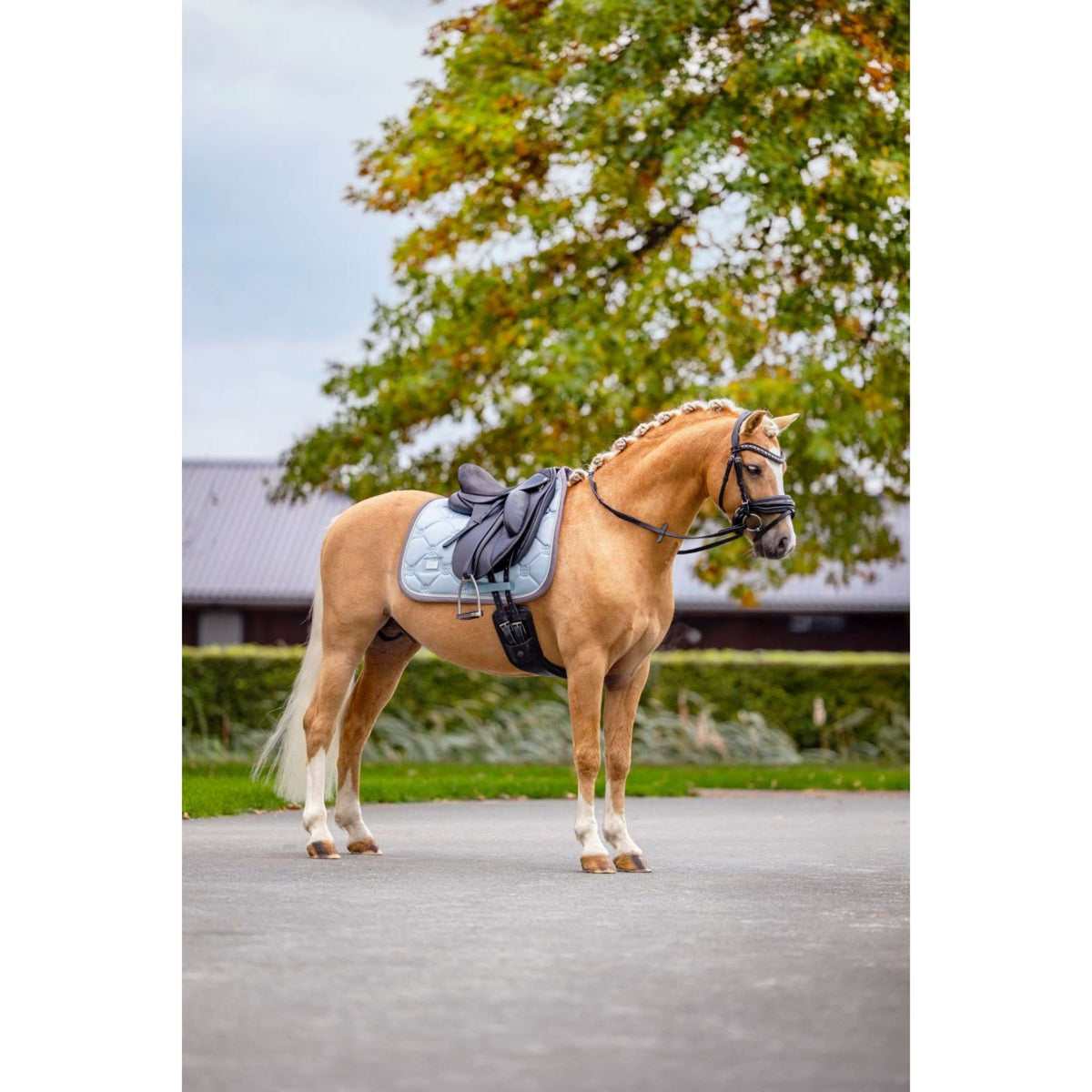 Equestrian Stockholm Schabracke Dressur Ice Blue