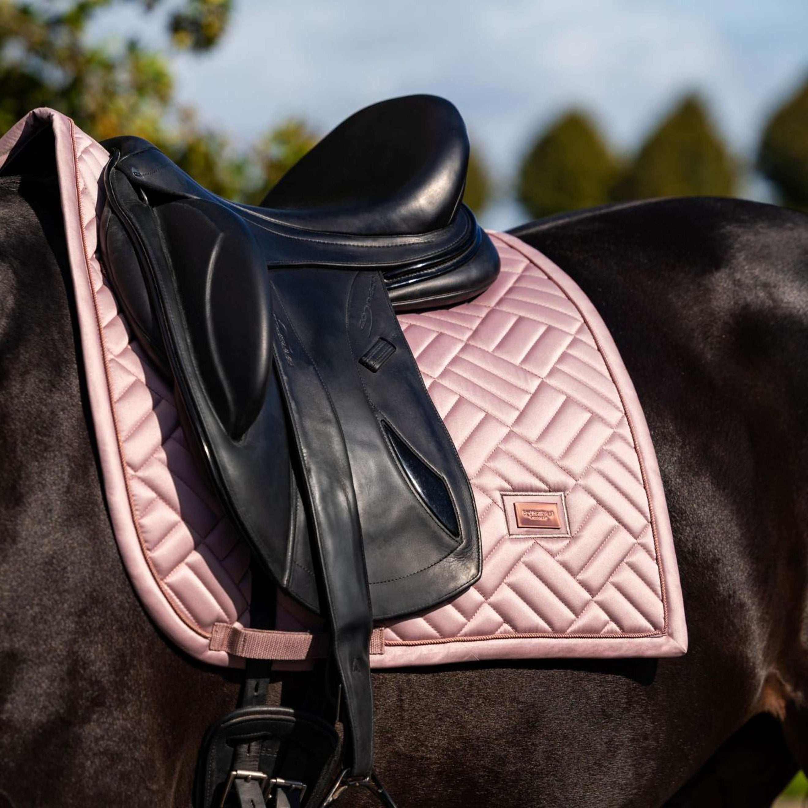 Equestrian Stockholm Schabracke Modern Dressur Midsummer Blush