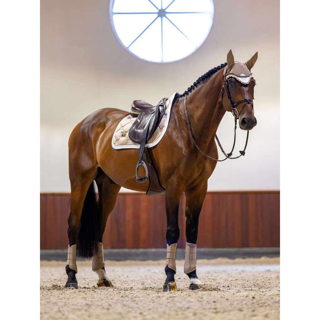Equestrian Stockholm Schabracke Springen Sand