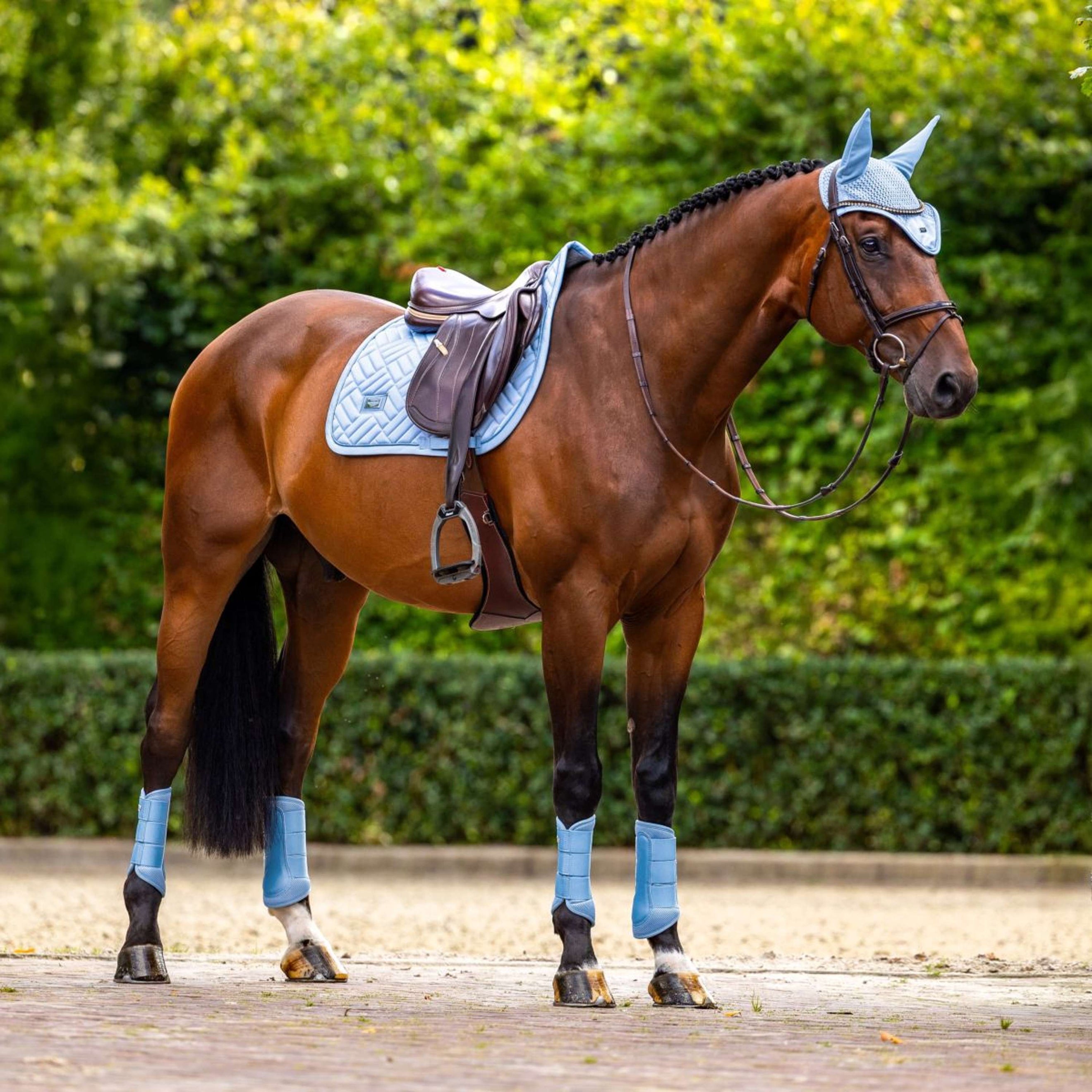Equestrian Stockholm Fliegenhaube Modern Midsummer Blue