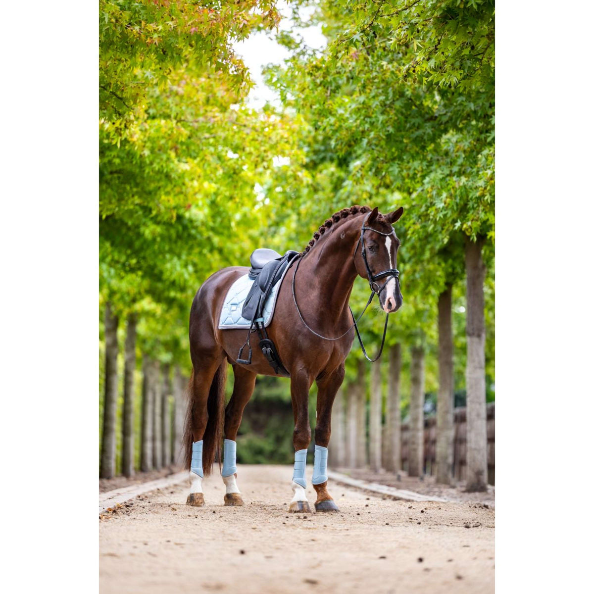 Equestrian Stockholm Gamaschen Classic Mesh Ice Blue