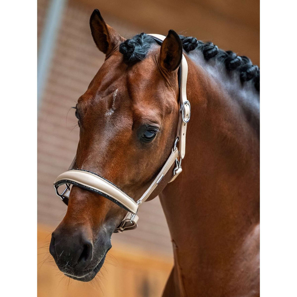 Equestrian Stockholm Halfter Glimmer Leather Anatomic Sand