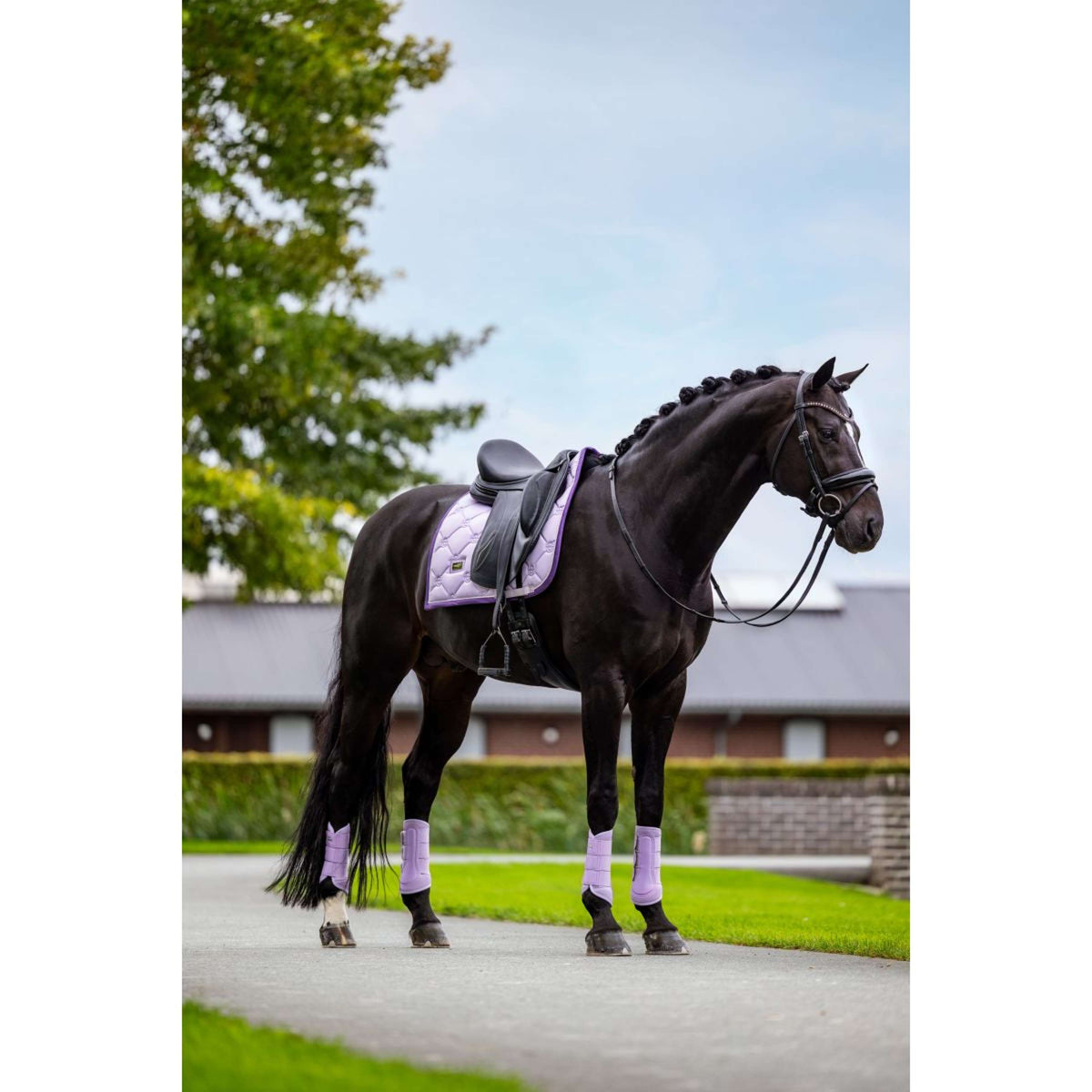 Equestrian Stockholm Gamaschen Classic Mesh Lavendel