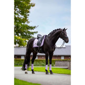 Equestrian Stockholm Gamaschen Classic Mesh Lavendel